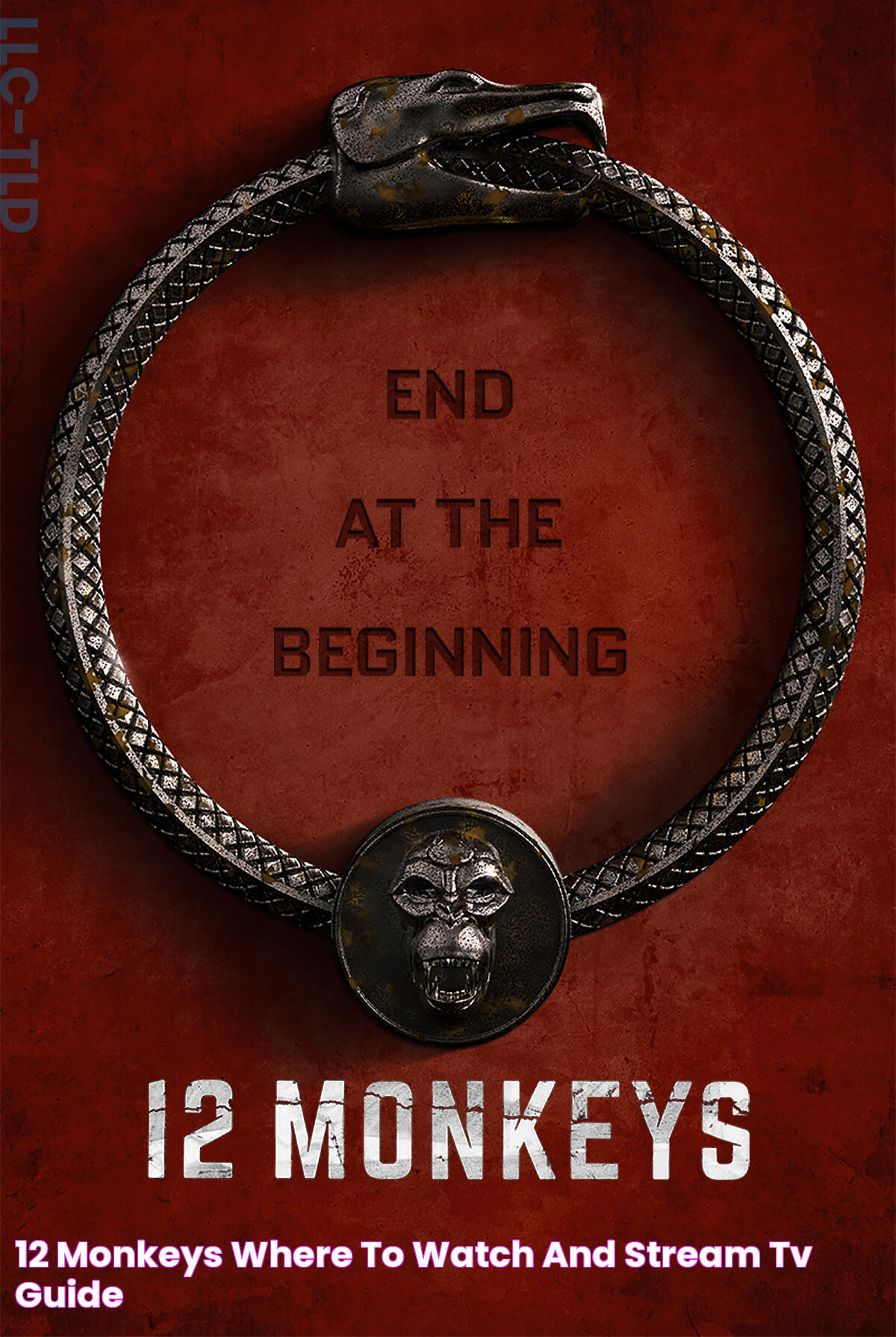 12 Monkeys Where to Watch and Stream TV Guide