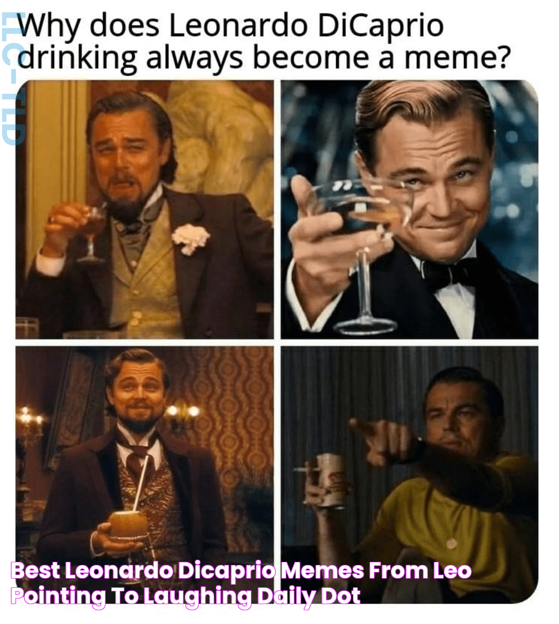 Best Leonardo DiCaprio Memes From Leo Pointing to Laughing Daily Dot