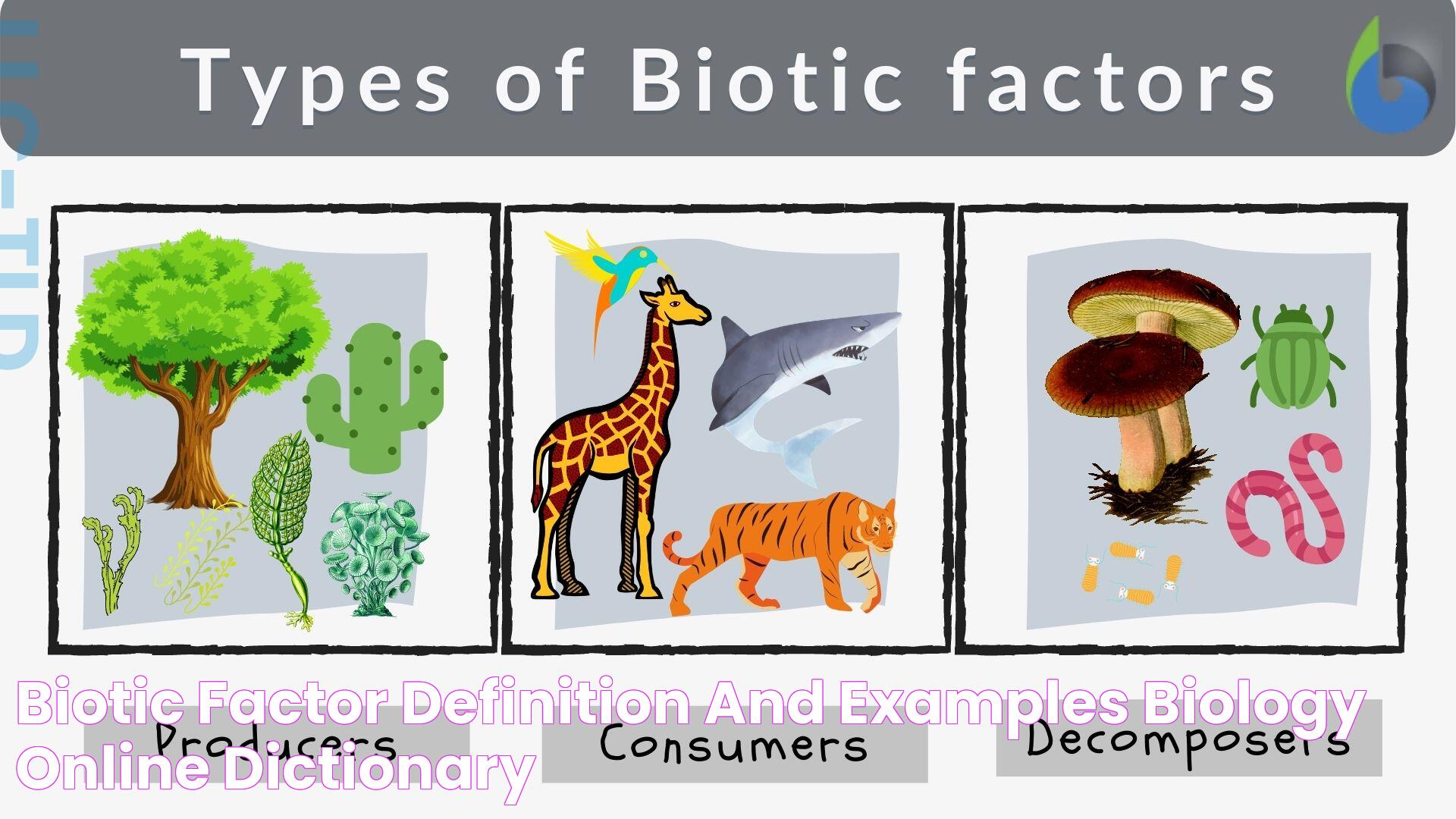 What Sets Biotic And Abiotic Factors Apart: A Comprehensive Guide