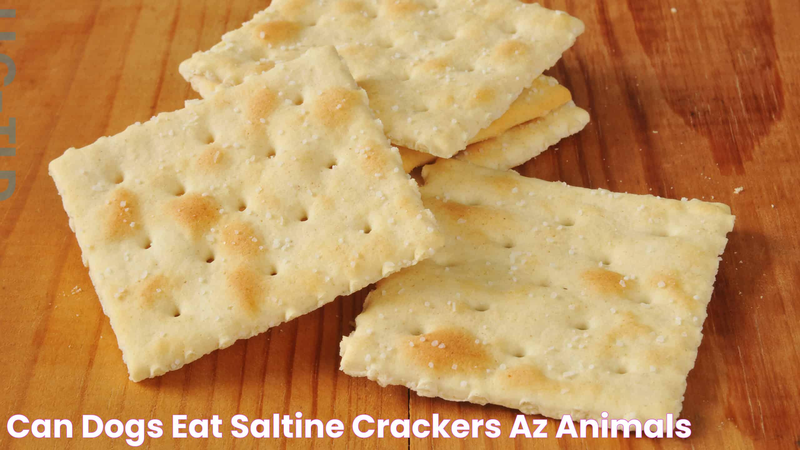 Can Dogs Have Saltine Crackers? A Guide To Canine Treats