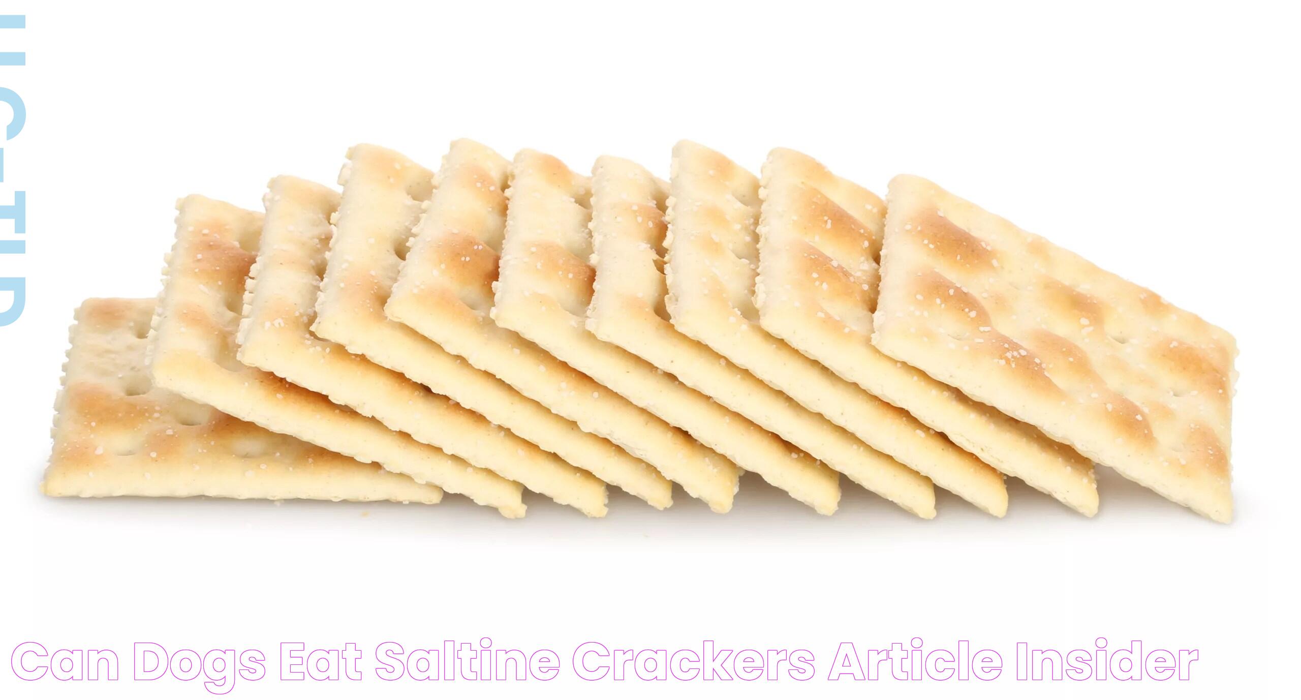 Can Dogs Eat Saltine Crackers? Article Insider