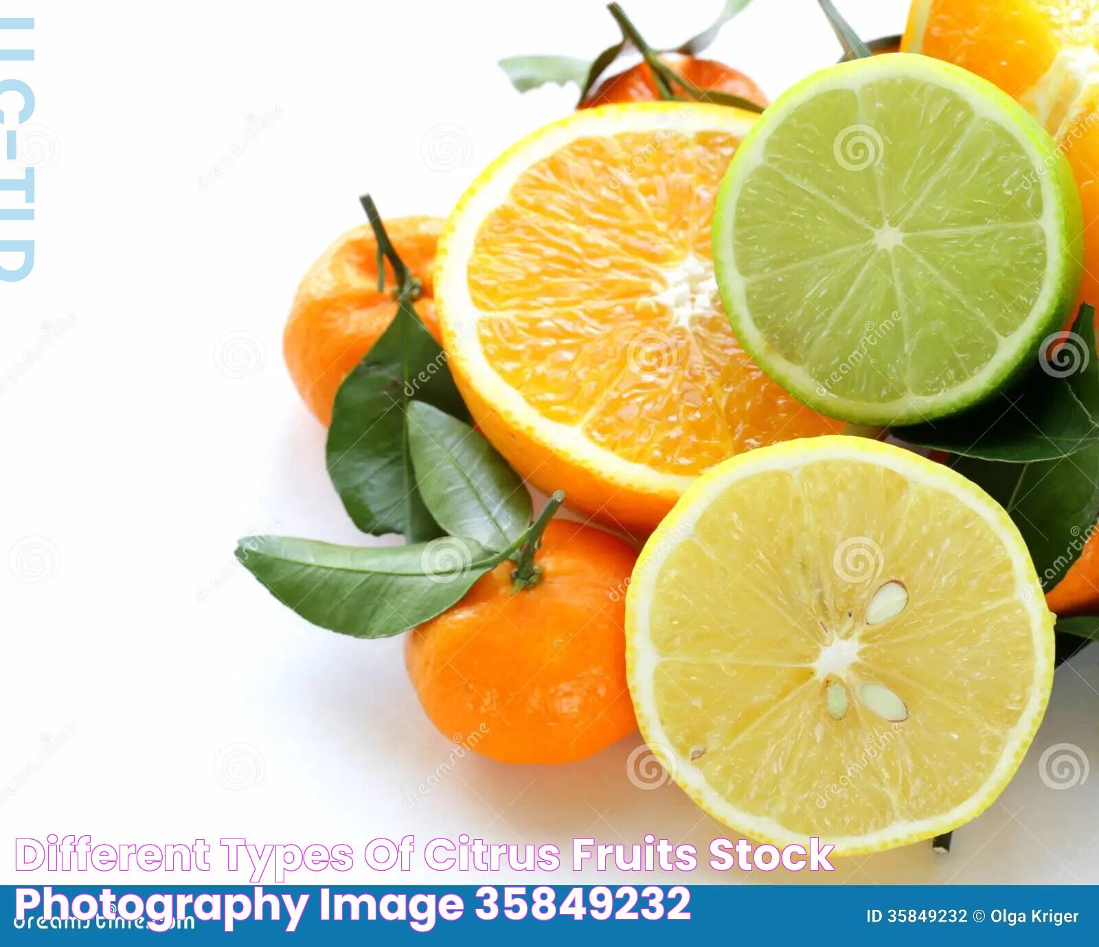 Different Types Of Citrus Fruits Stock Photography Image 35849232