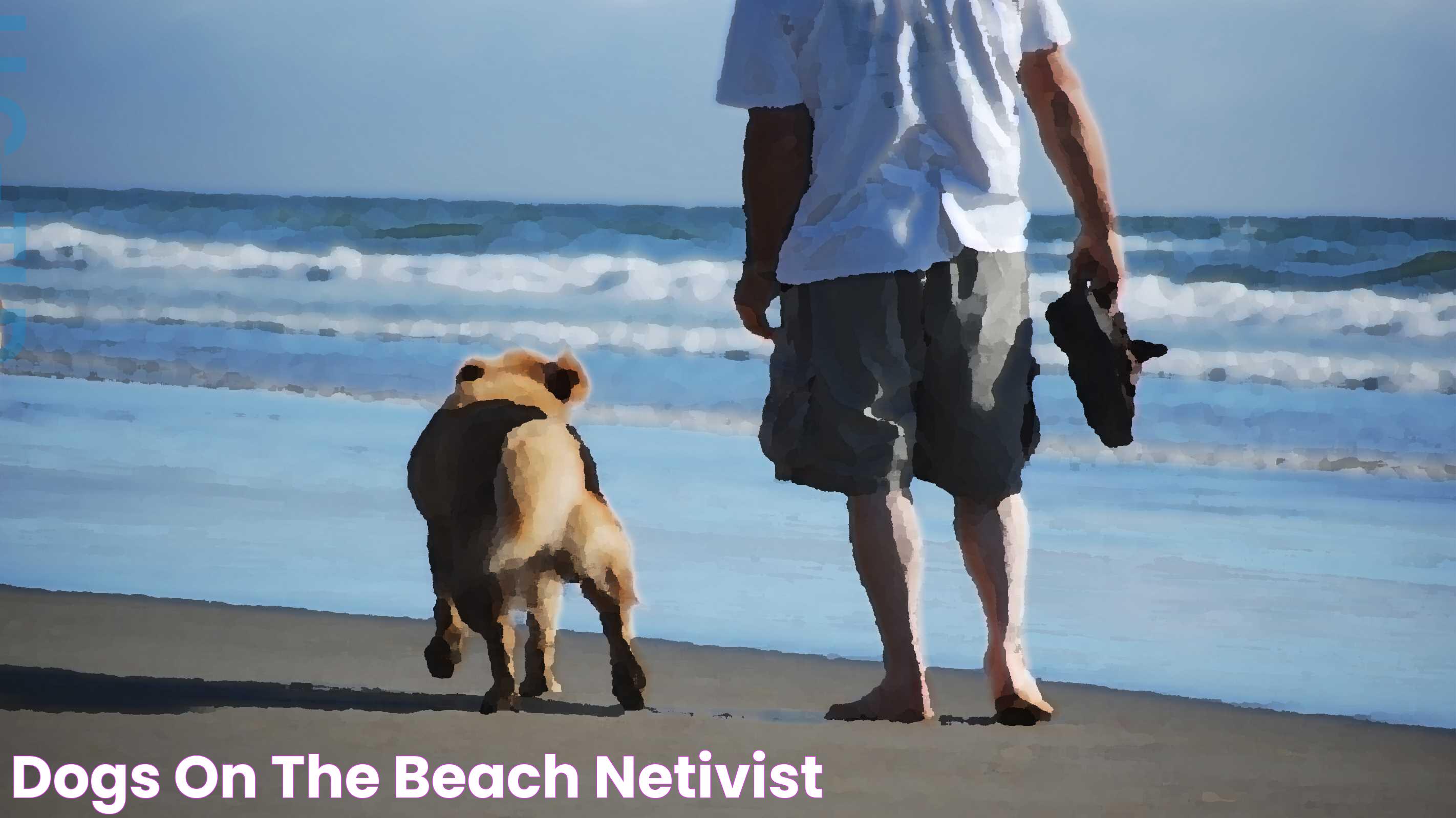 Why Dogs And Beach Adventures Create Unforgettable Memories