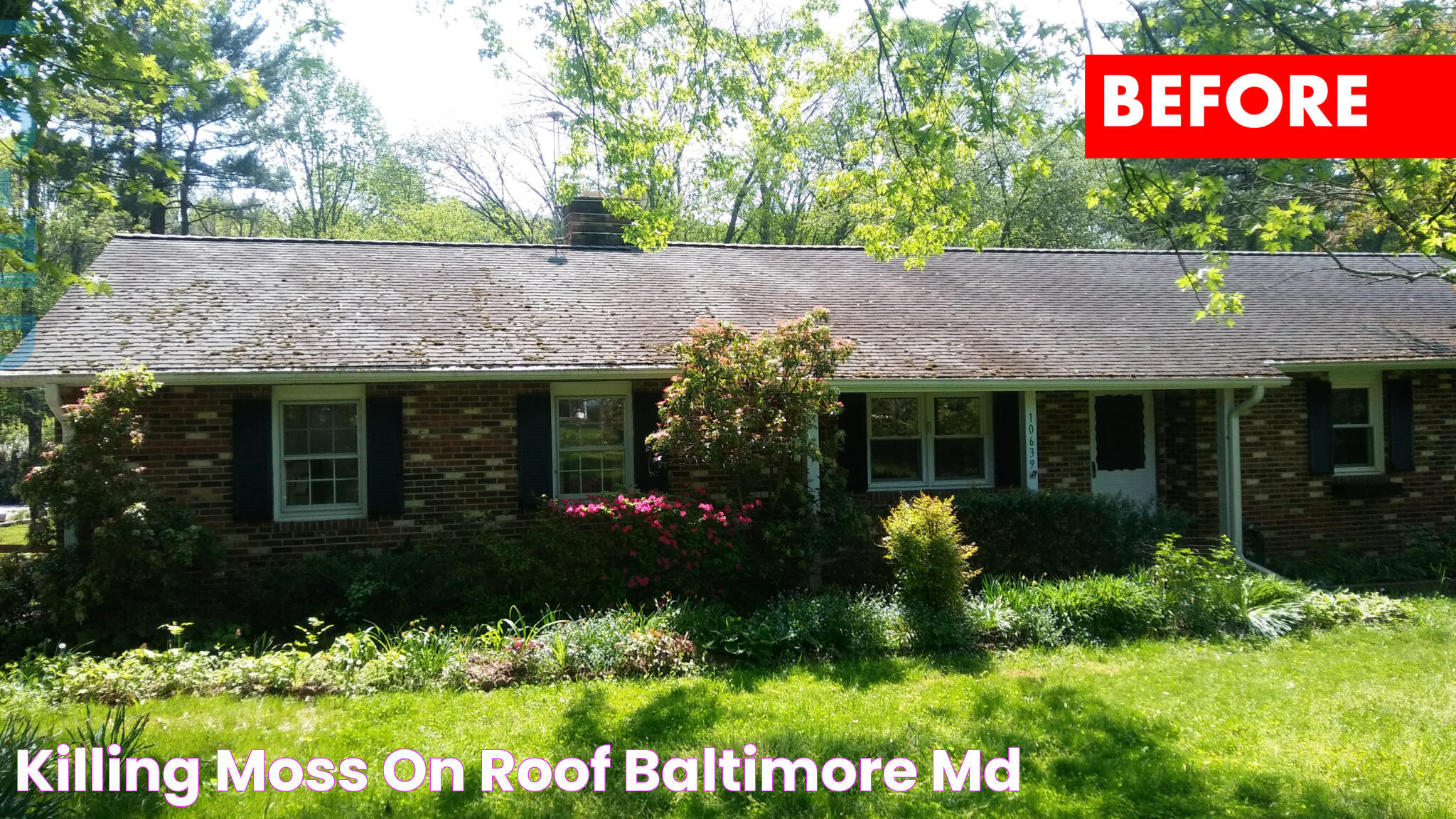 Effective Strategies To Safely Remove Moss From Your Roof