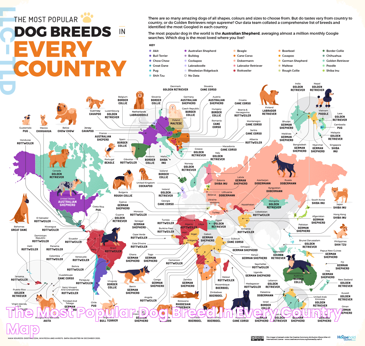 Top Dog Breeds: What Is The Most Popular Dog Breed Today?