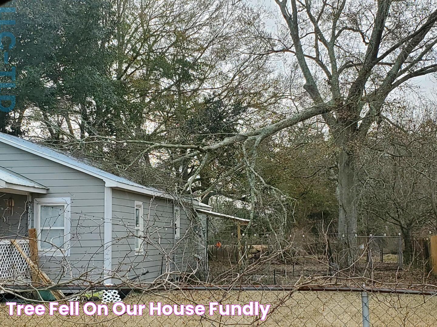 What To Do When A Tree Fell On Your House: A Guide To Safety And Recovery