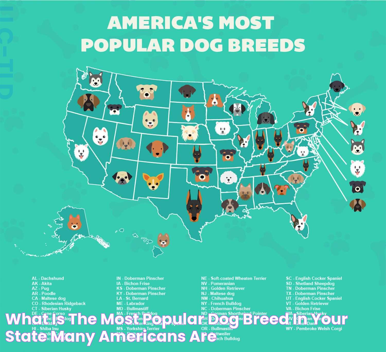 What Is the Most Popular Dog Breed in Your State? Many Americans Are