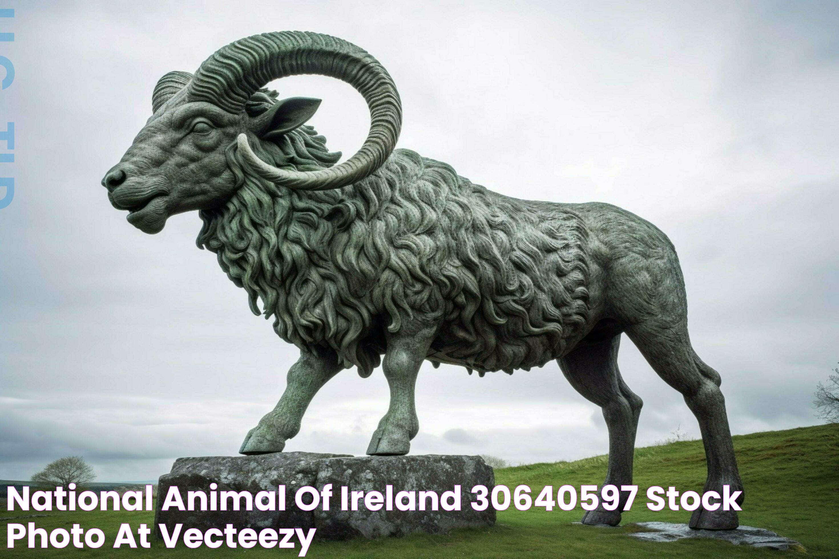 National Animal Of Ireland: Significance, History, And Cultural Impact