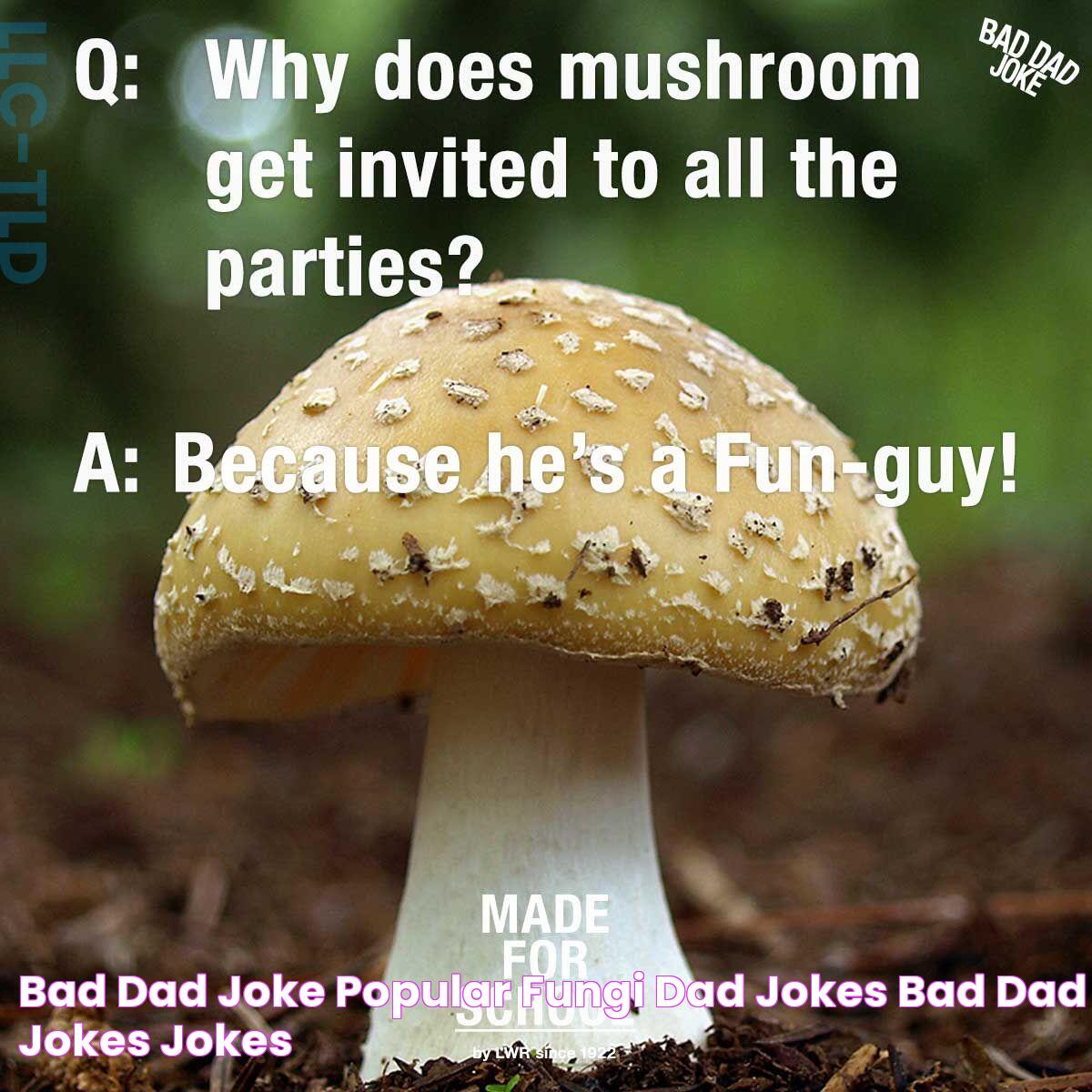 Bad Dad Joke Popular Fungi Dad jokes, Bad dad jokes, Jokes