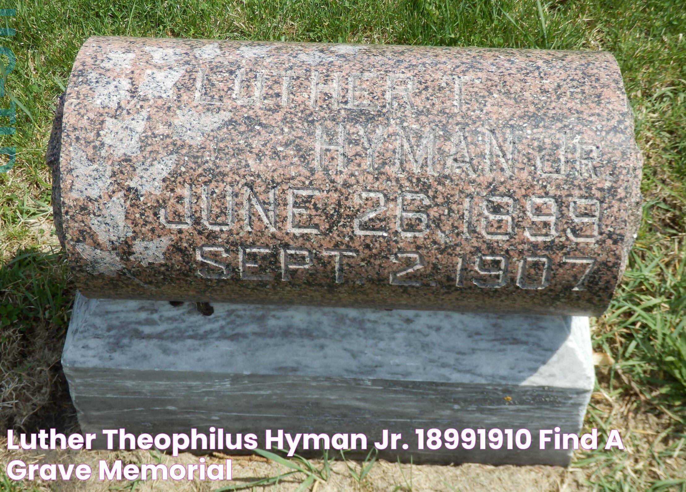 Luther Theophilus Hyman Jr. (18991910) Find a Grave Memorial