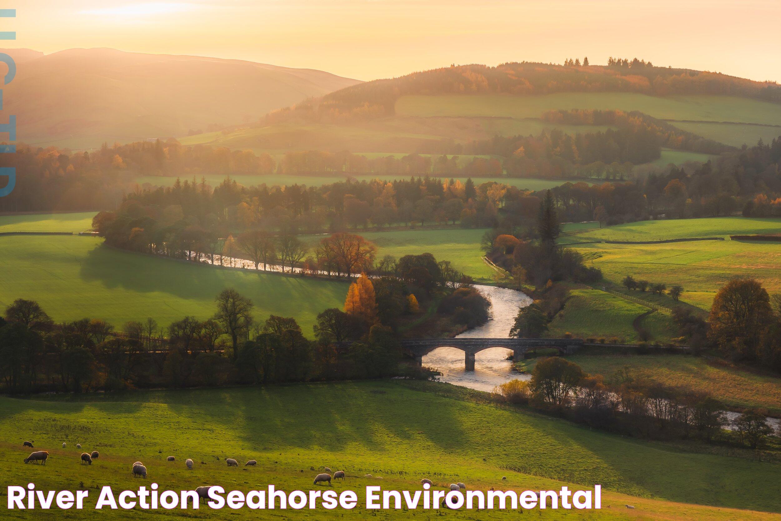 River Action — Seahorse Environmental