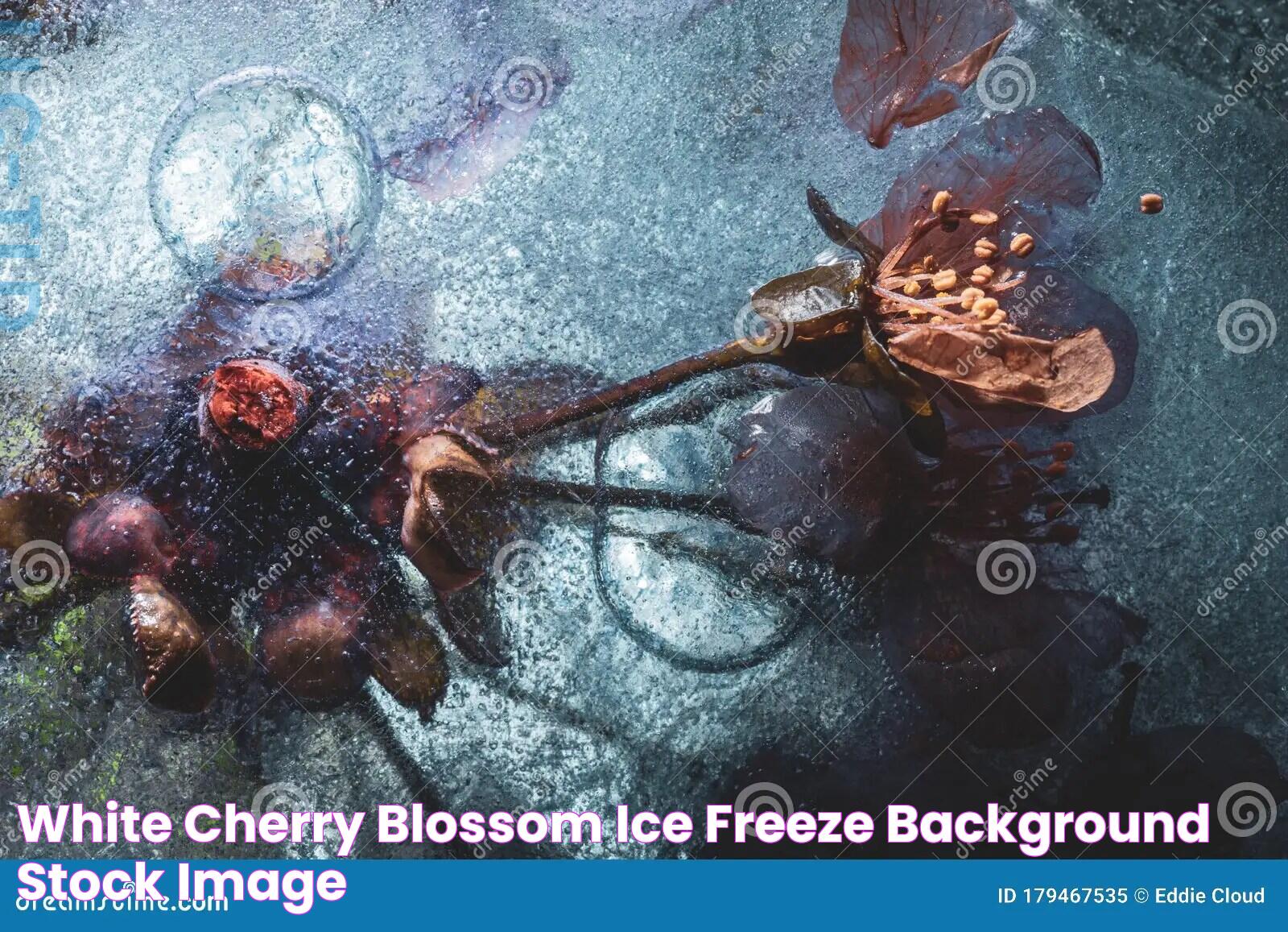 Secrets Behind Blake Blossom Freeze: Unveiling Facts And Insights