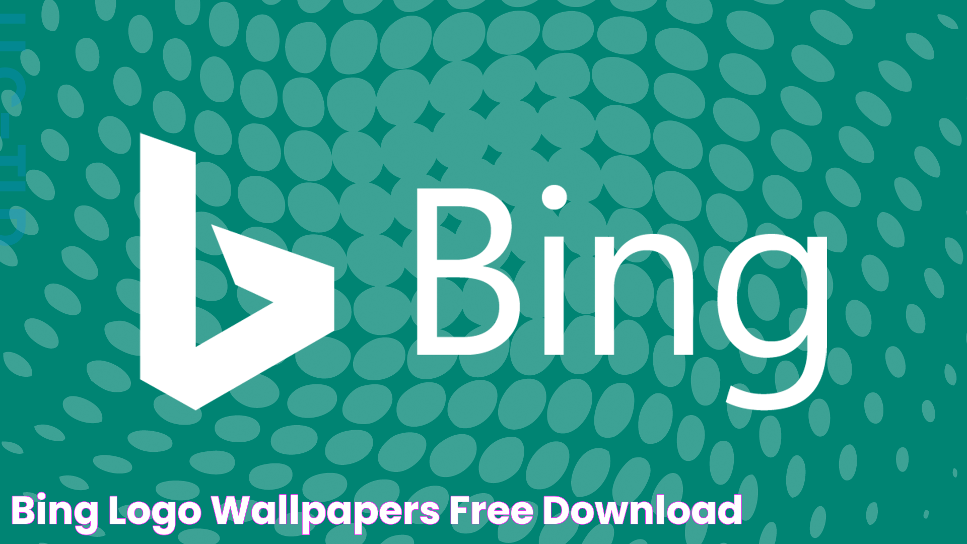 Bing Logo Wallpapers Free Download