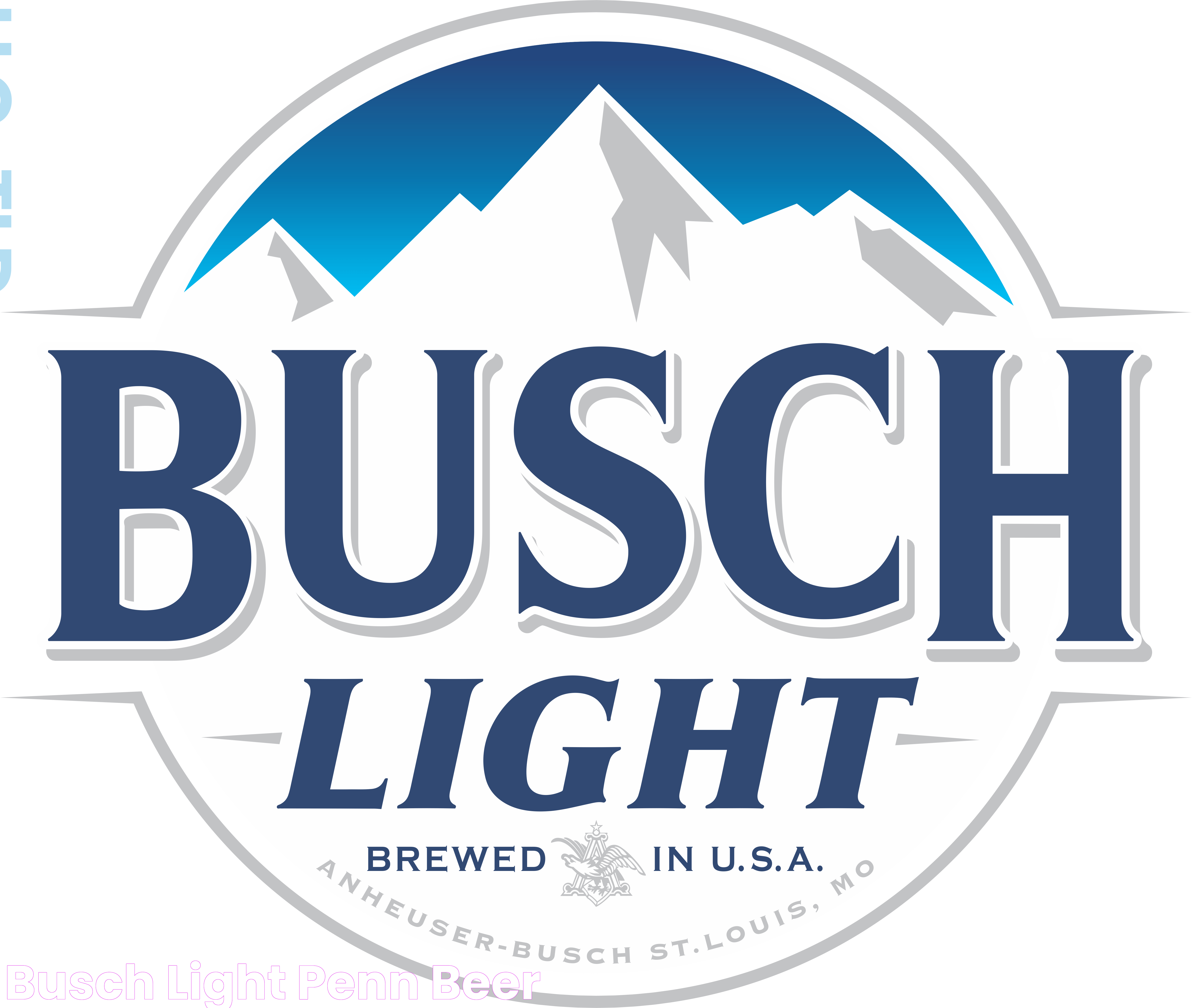 Busch Light Penn Beer