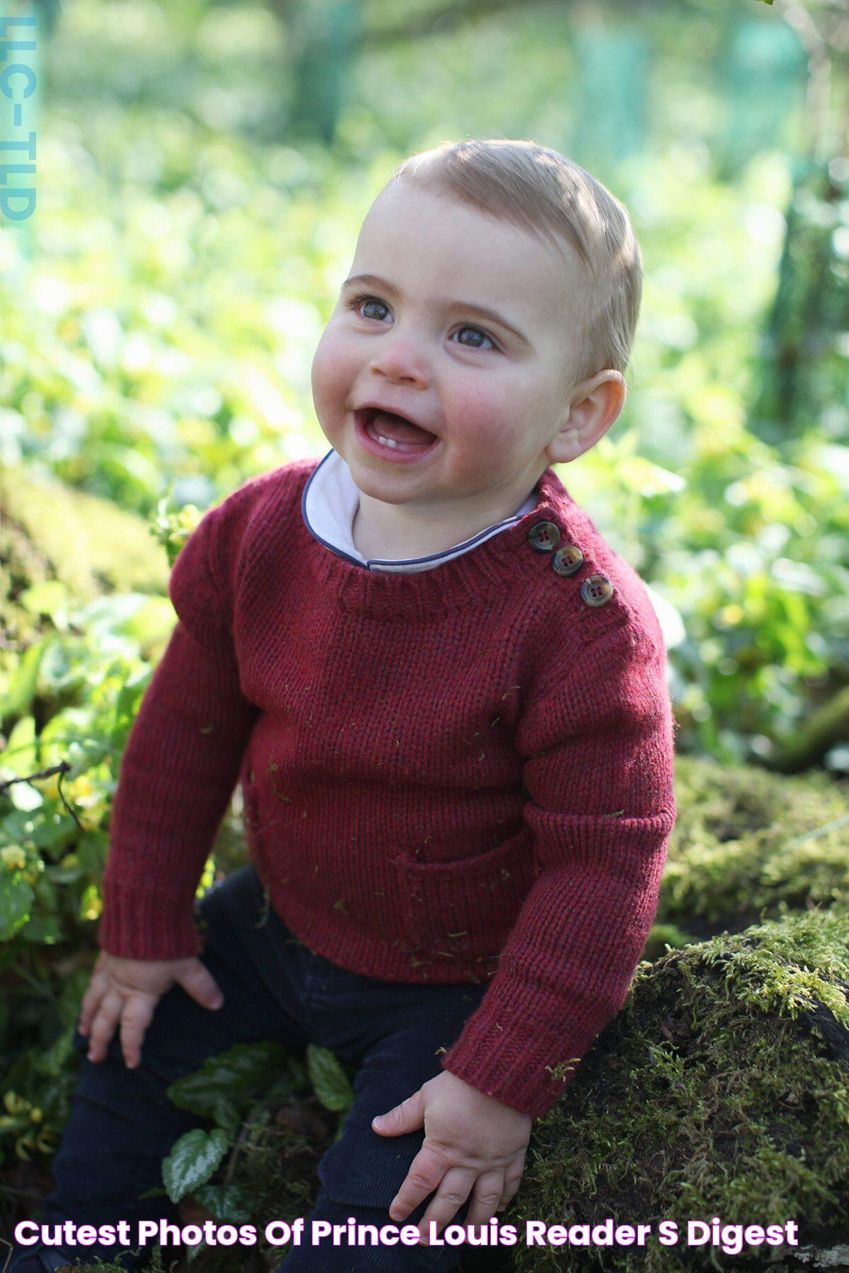 Cutest Photos of Prince Louis Reader's Digest