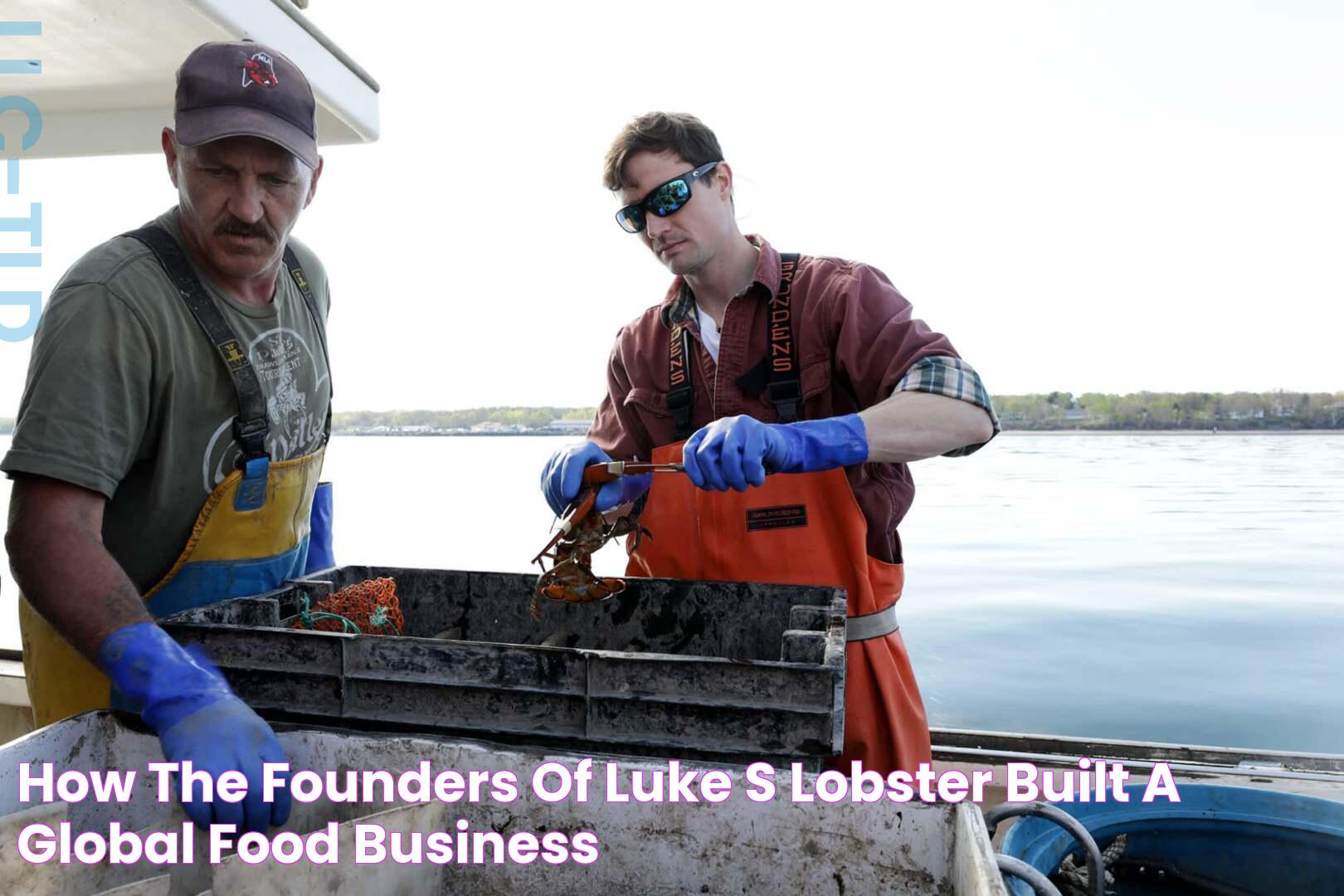 Luke's Lobster: A Deep Dive Into The World Of Sustainable Seafood