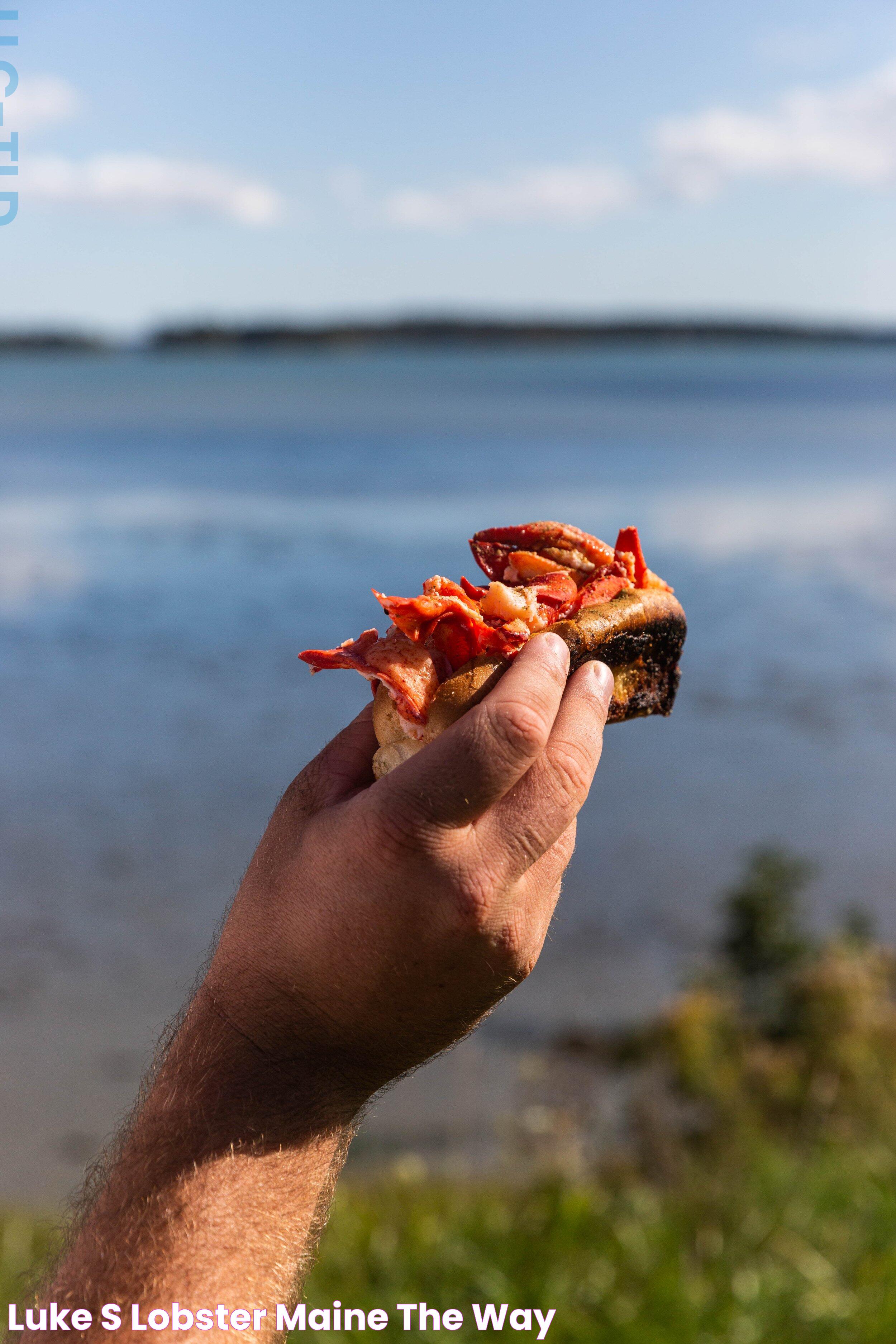 Luke's Lobster — Maine The Way