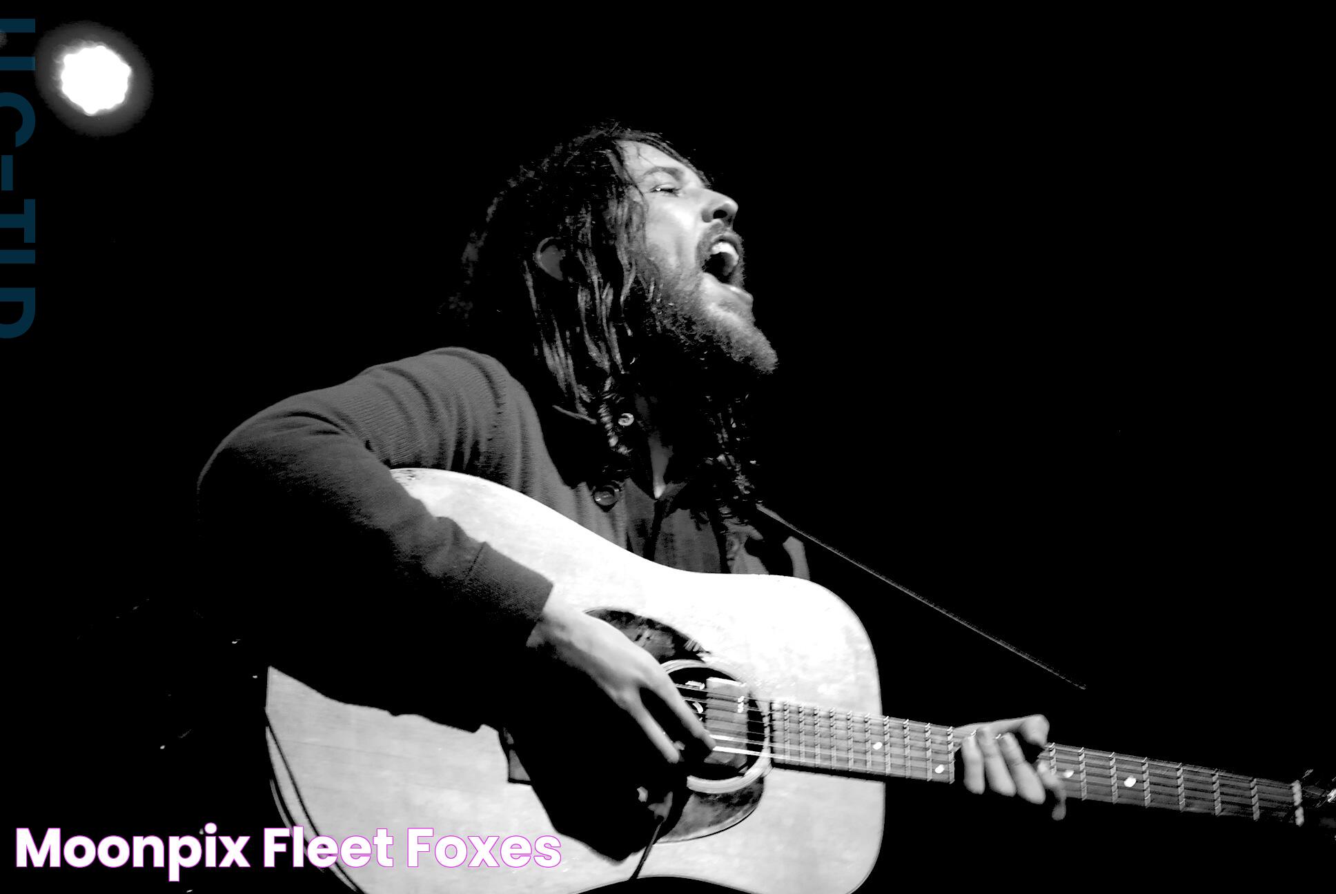 Fleet Foxes: A Melodic Odyssey Through Modern Folk