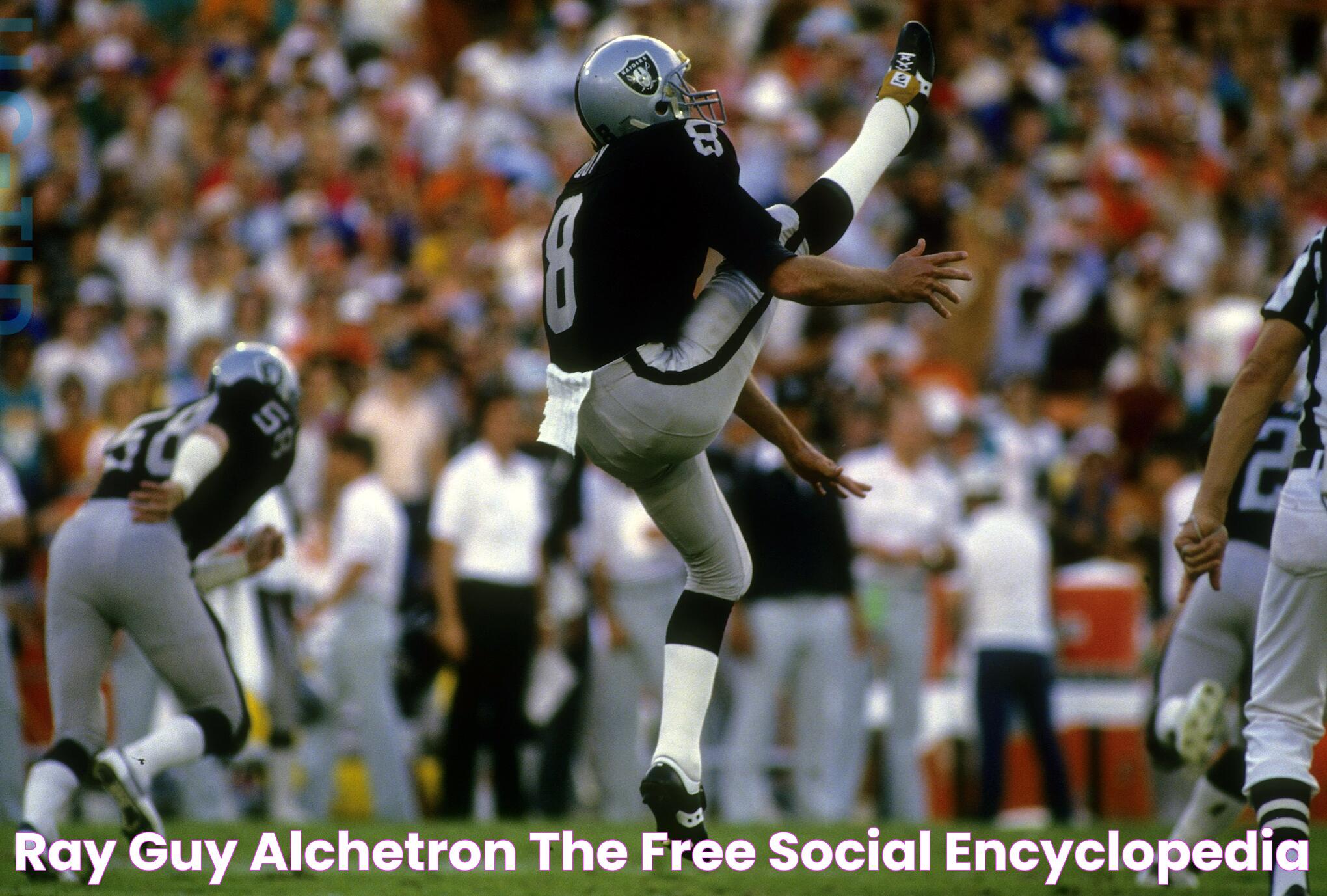 Ray Guy Alchetron, The Free Social Encyclopedia