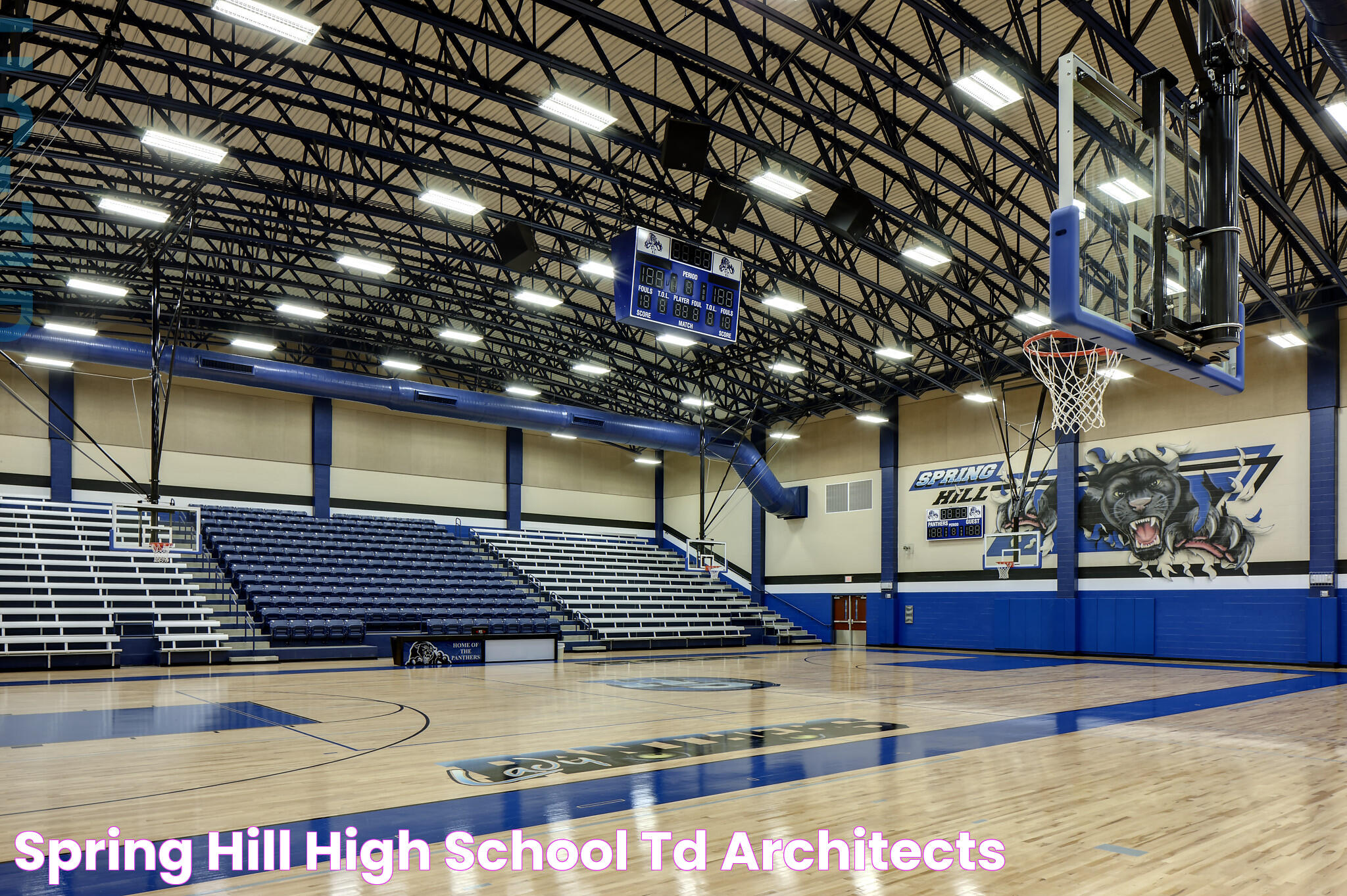 Delving Into The Education Excellence Of Spring Hill High School