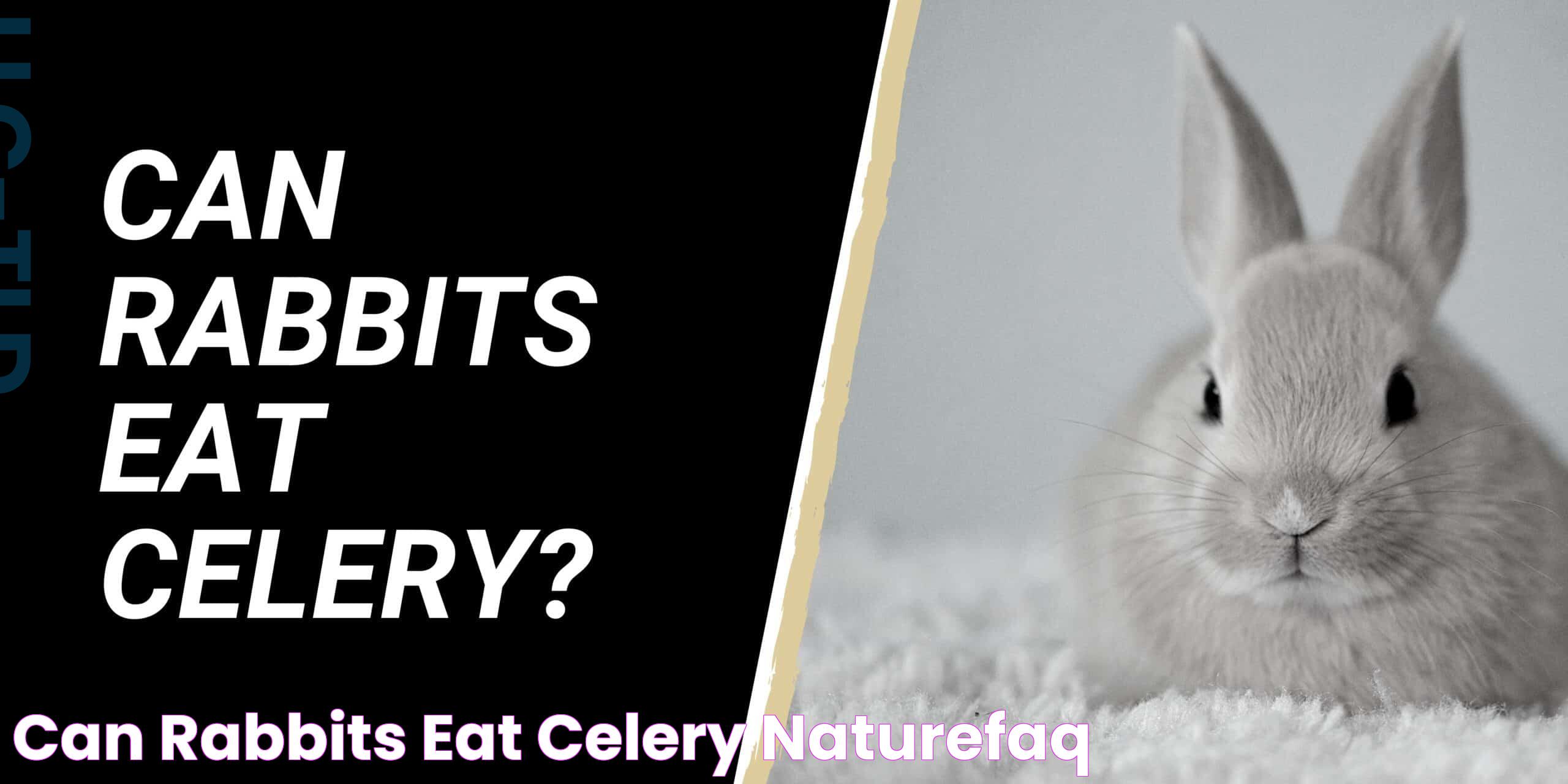 Can rabbits eat celery? NatureFAQ