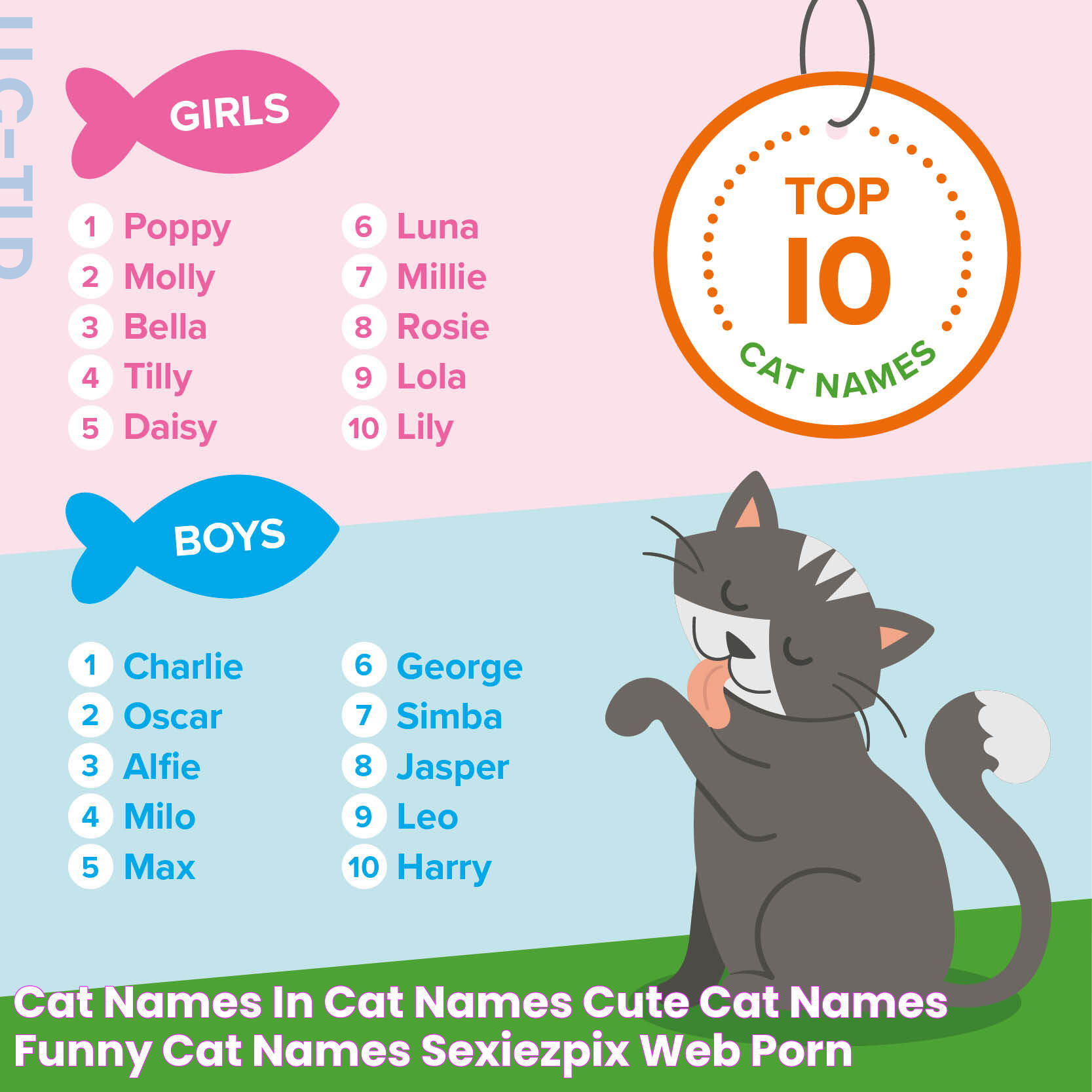 Cat Names In Cat Names Cute Cat Names Funny Cat Names SexiezPix Web Porn