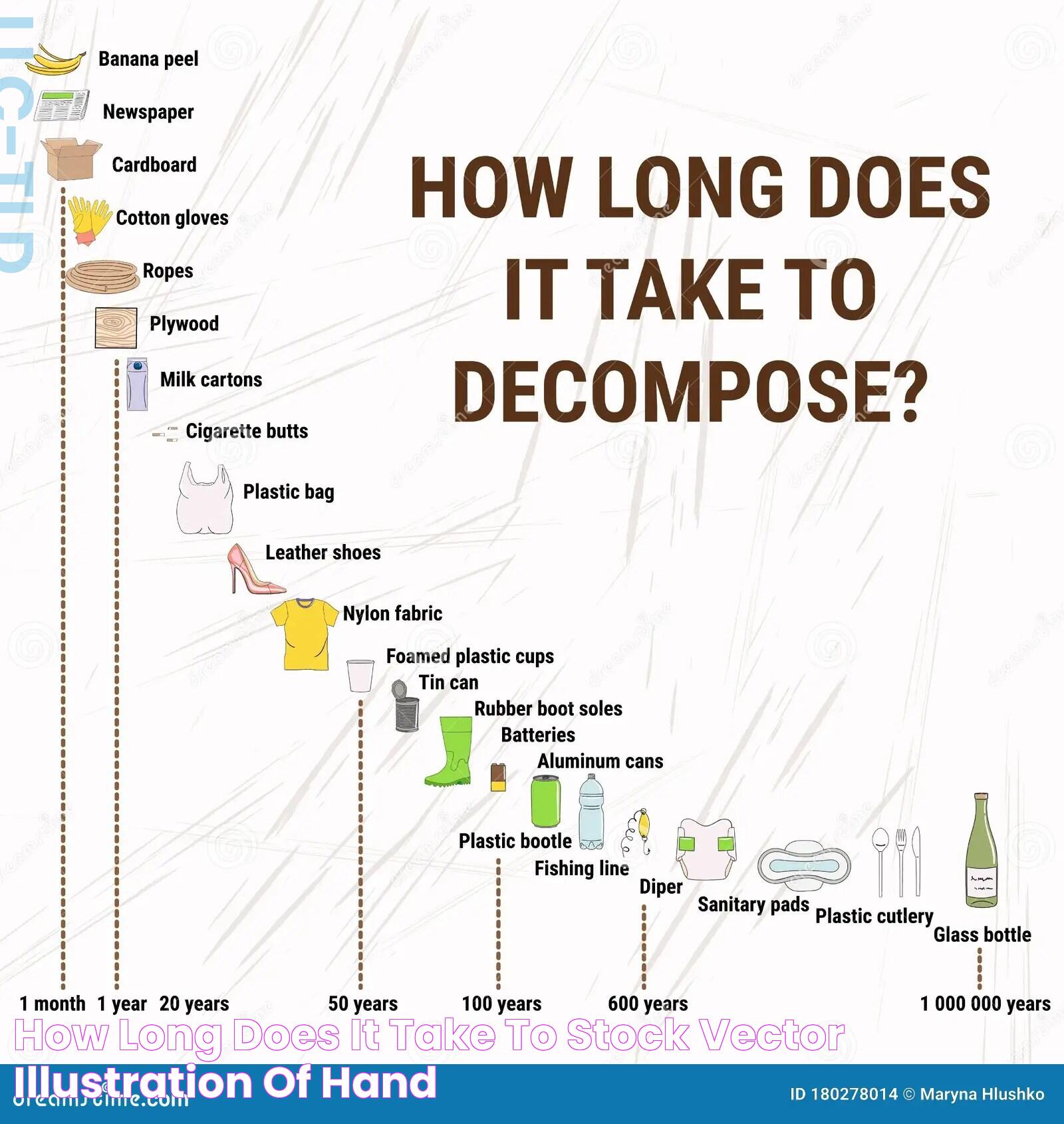 Decomposition Timeline: How Long Does A Body Take To Decompose?