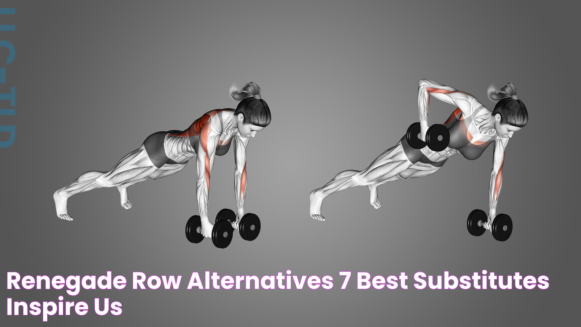 Renegade Row Alternatives 7 Best Substitutes Inspire US