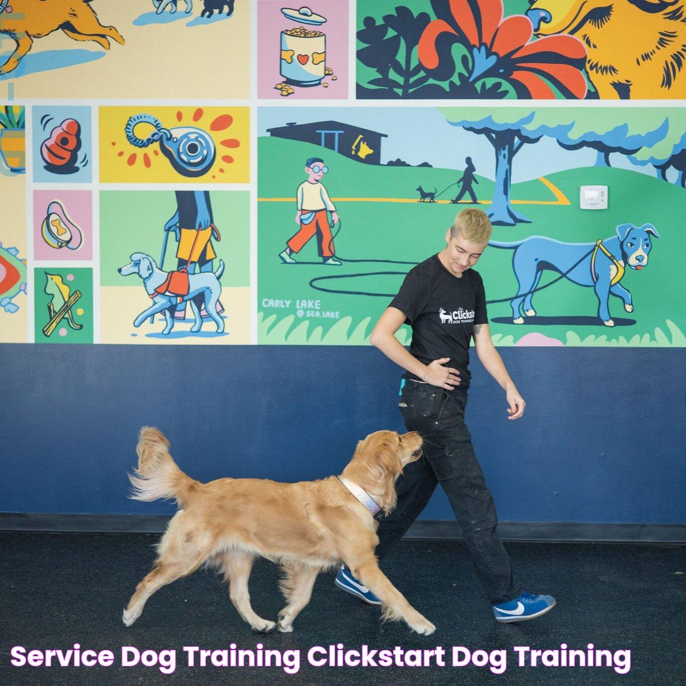 The Ultimate Guide To Making Your Dog A Service Dog: Steps And Success