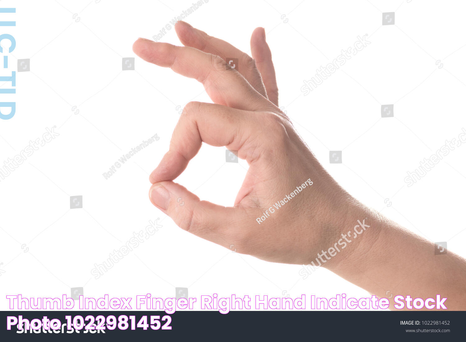 Thumb Index Finger Right Hand Indicate Stock Photo 1022981452