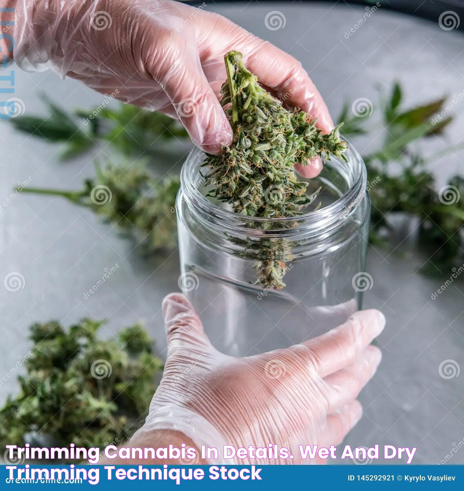 Mastering The Art Of Trimming Cannabis: Essential Techniques And Tips