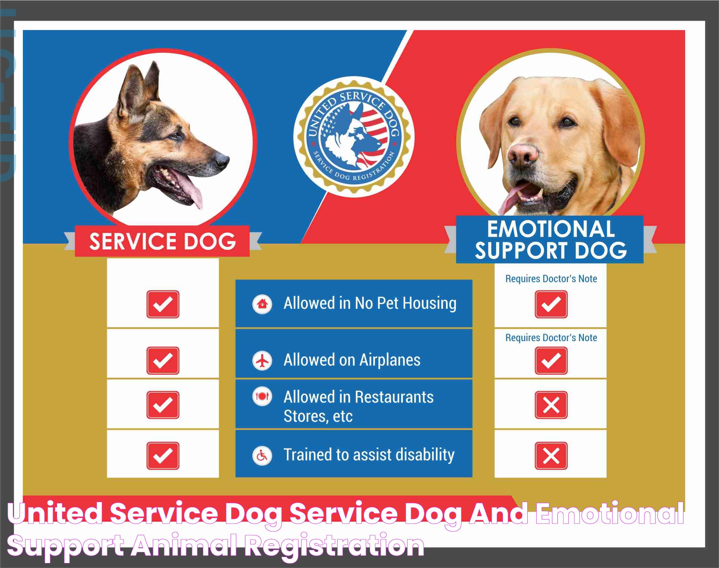 United Service Dog Service Dog and Emotional Support Animal Registration