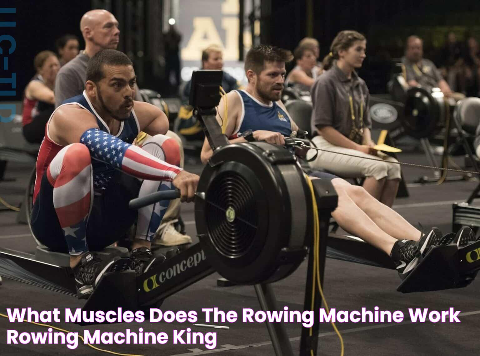 What Muscles Does the Rowing Machine Work Rowing Machine King