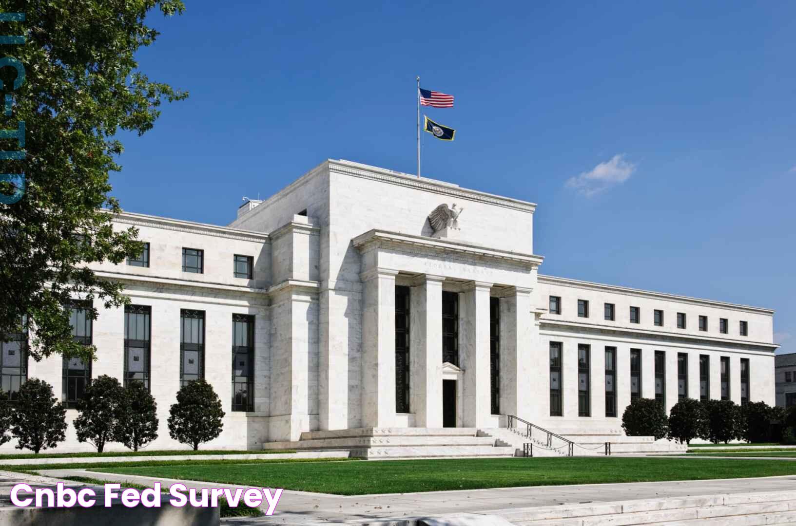 Comprehensive Guide To What Is A Fed: Everything You Need To Know