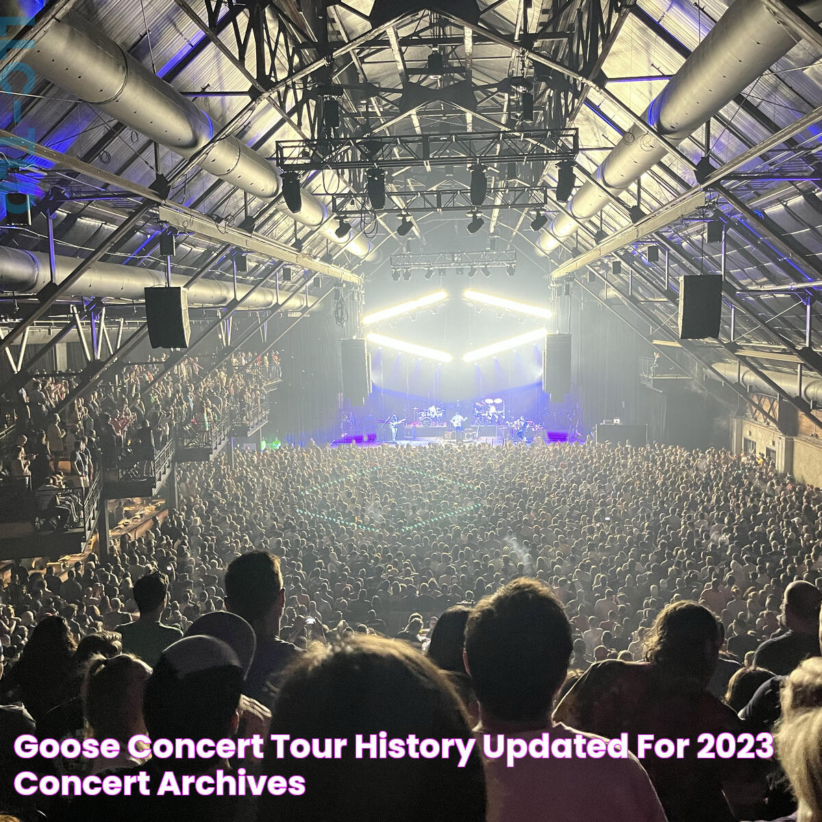 Everything You Need To Know About A Goose Concert: A Complete Guide