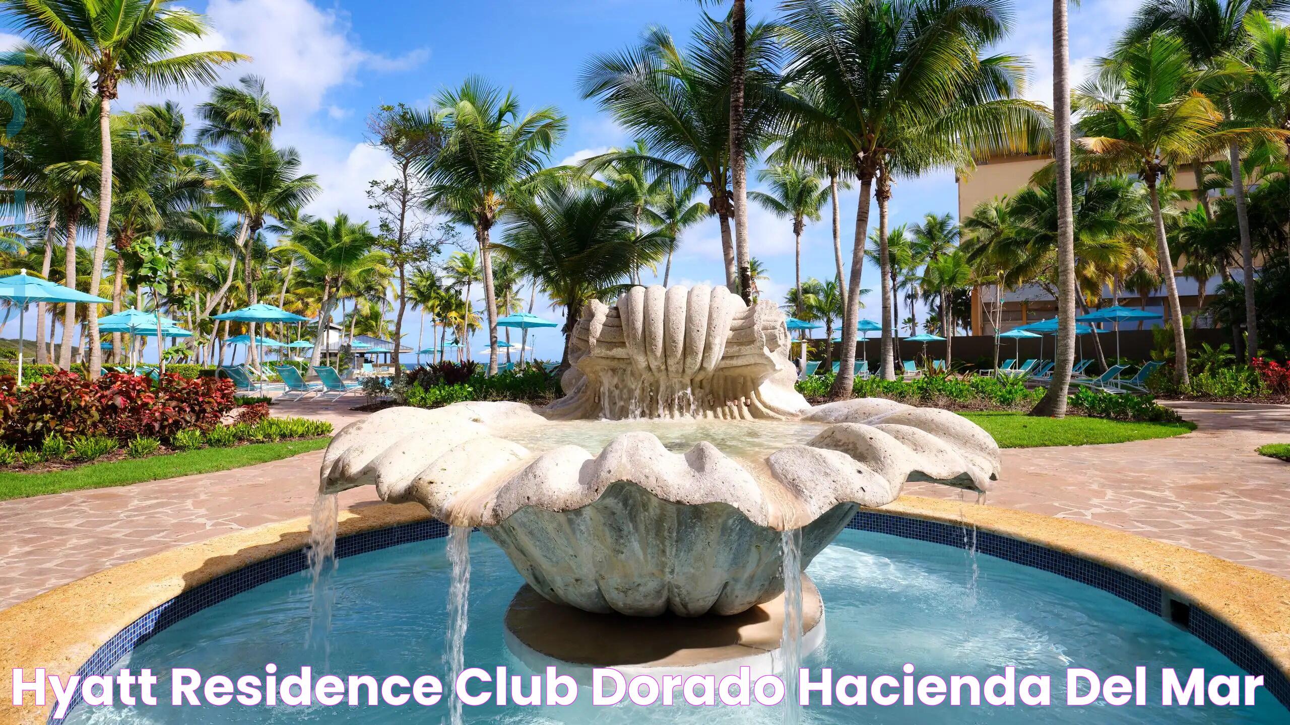 Luxury Meets Paradise: Hyatt Dorado Puerto Rico Resort Overview