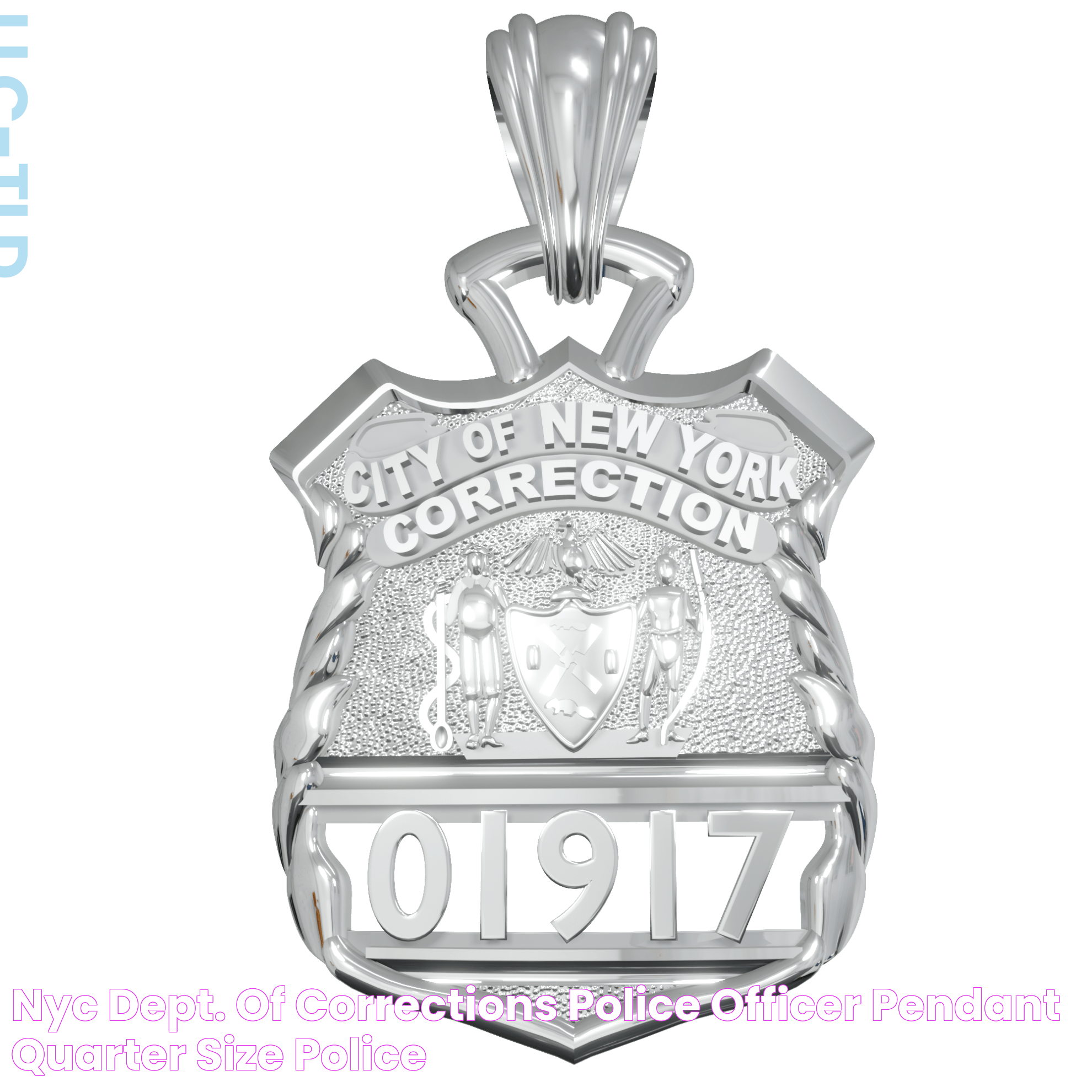 NYC Dept Of Corrections: Comprehensive Overview And Key Insights