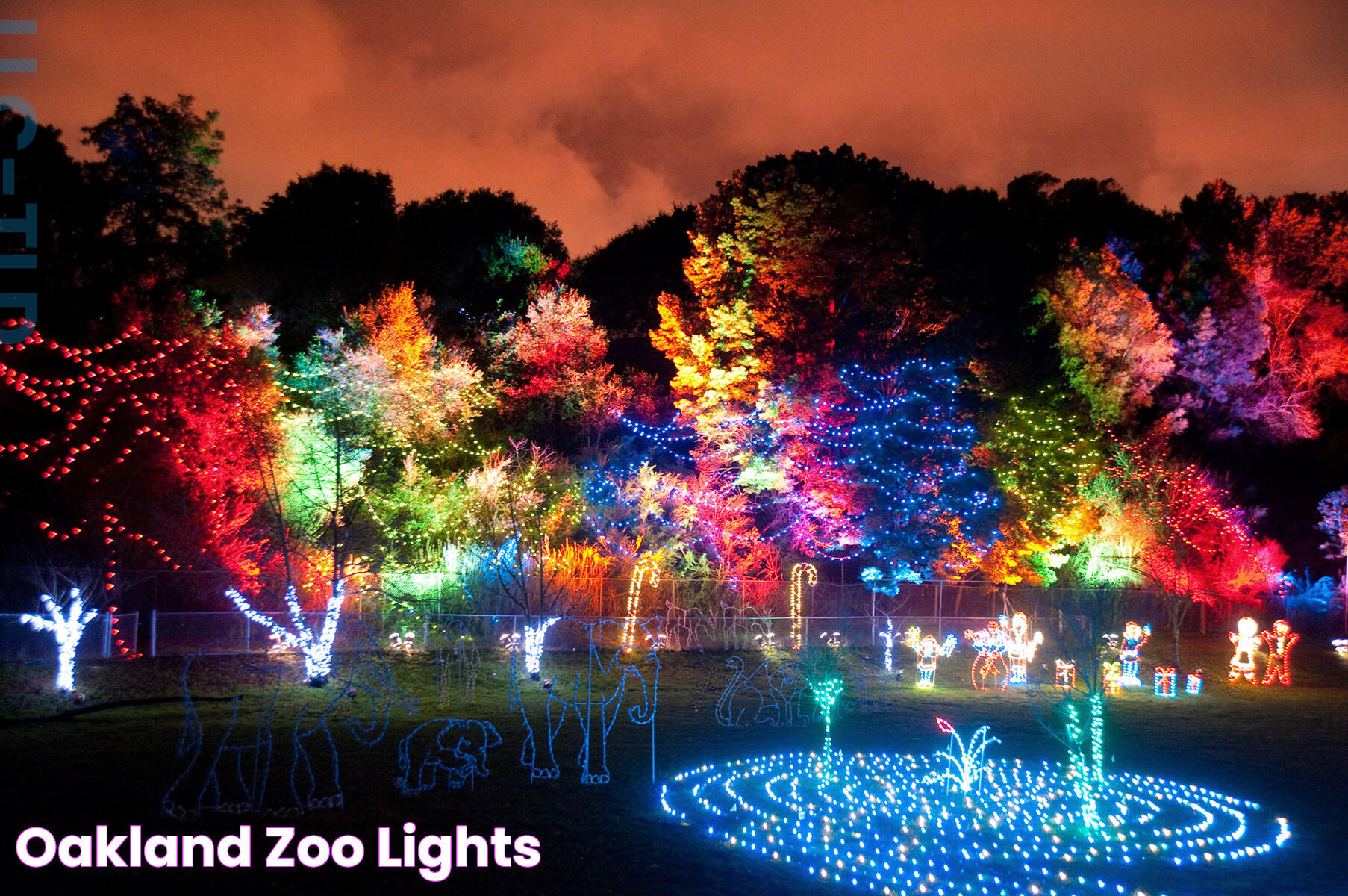 Oakland Zoo Lights