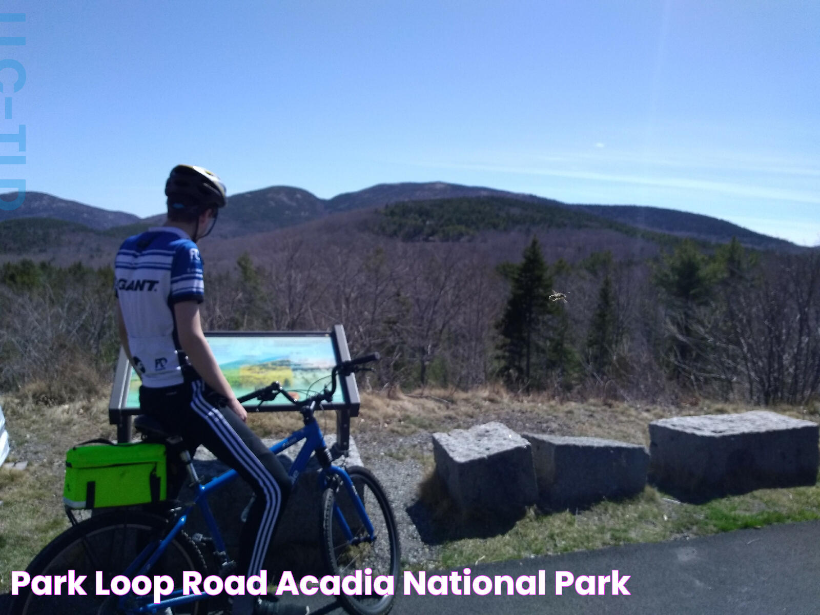 Park Loop Road, Acadia National Park