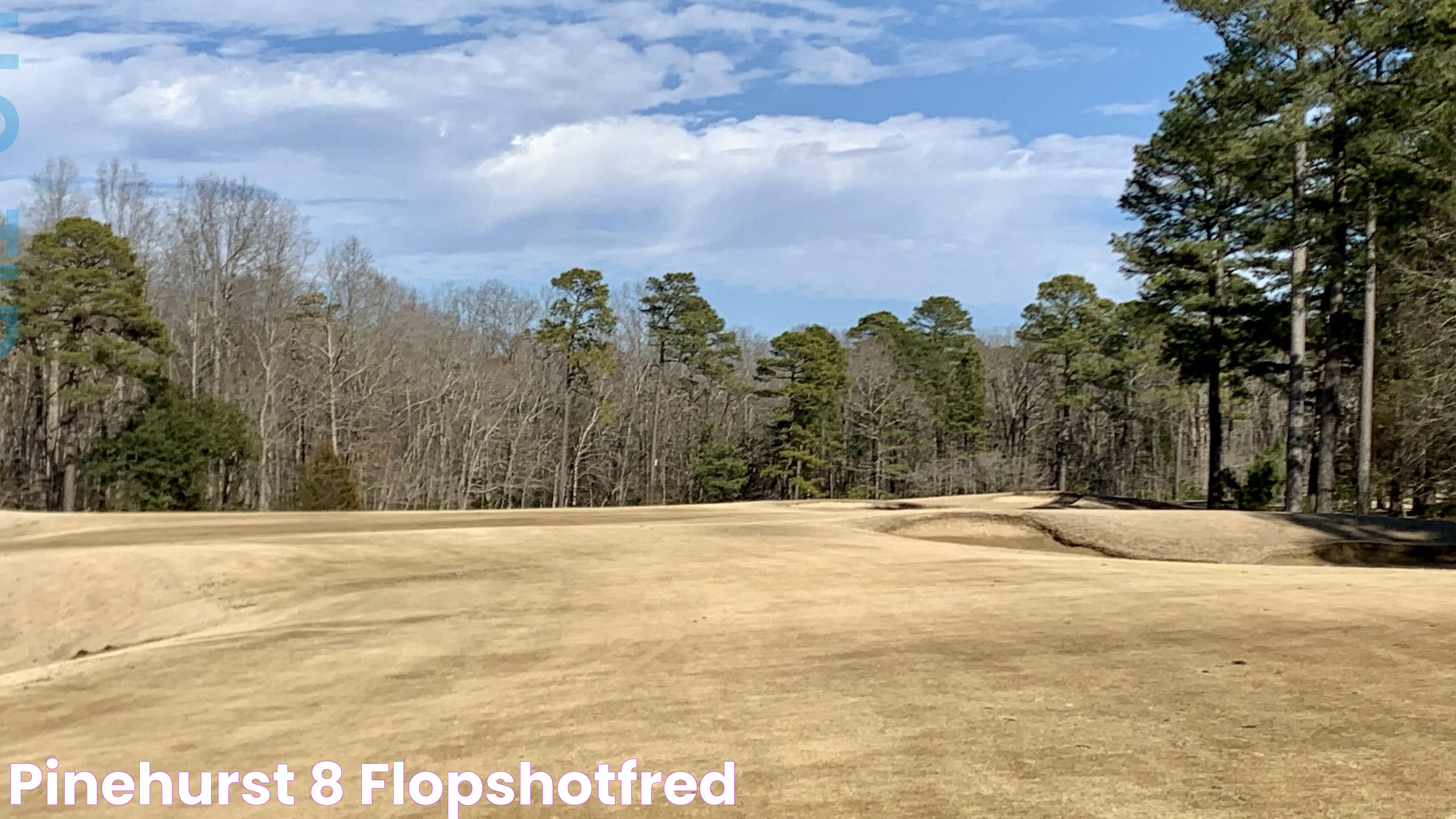 The Ultimate Guide To Pinehurst No 8: A Golfer's Paradise