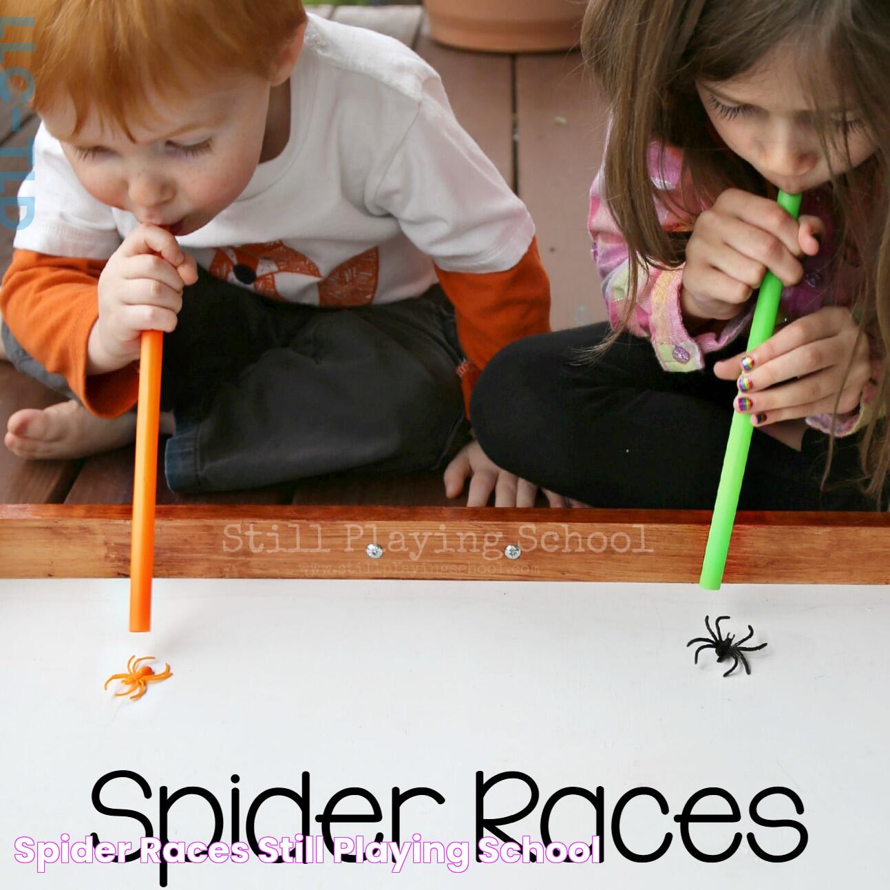 Spider Races Still Playing School