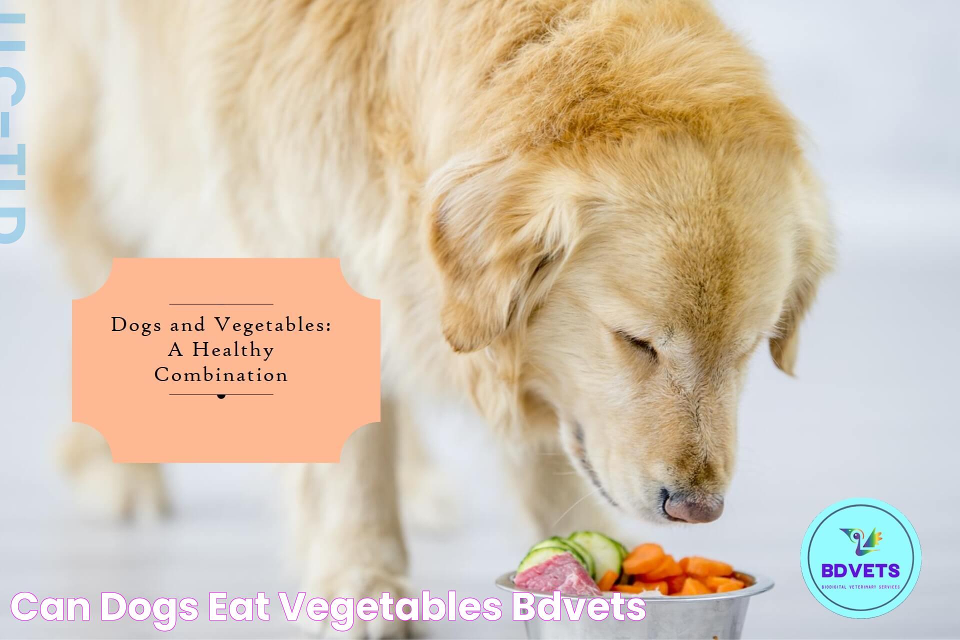 Vital Guide: What Vegetables Can Dogs Not Eat?