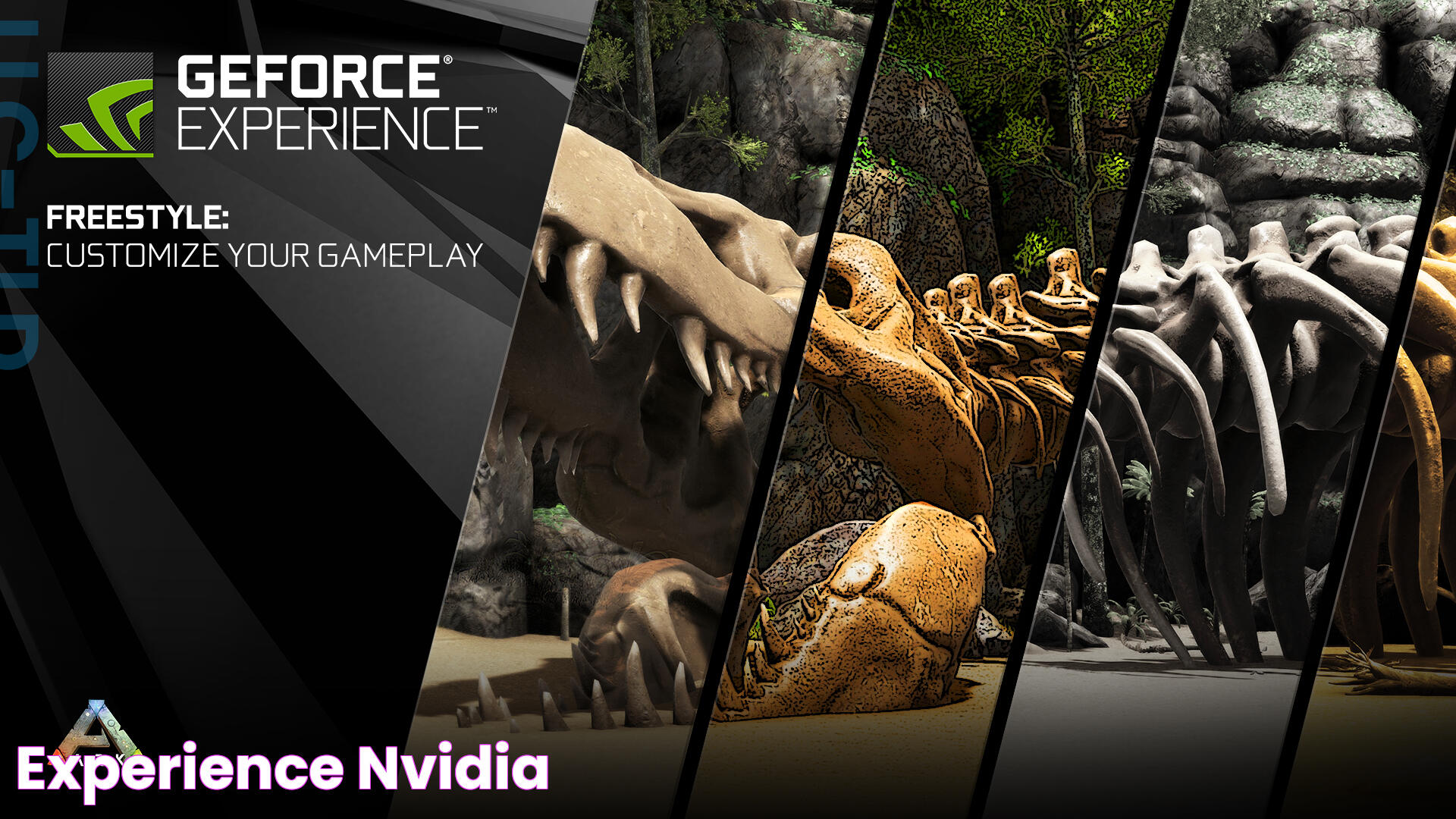 Experience Nvidia