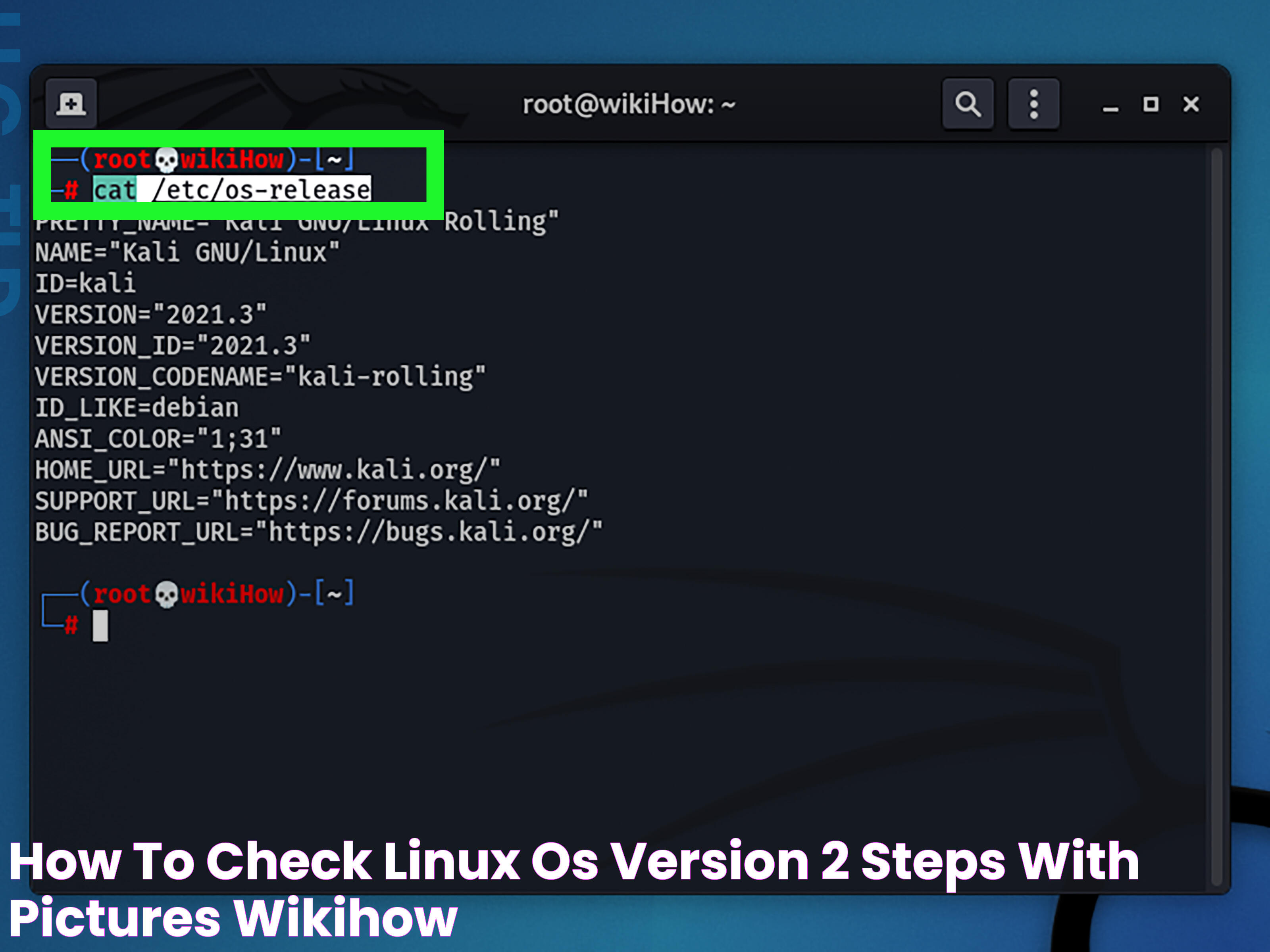 Ultimate Guide To Checking OS Version In Linux