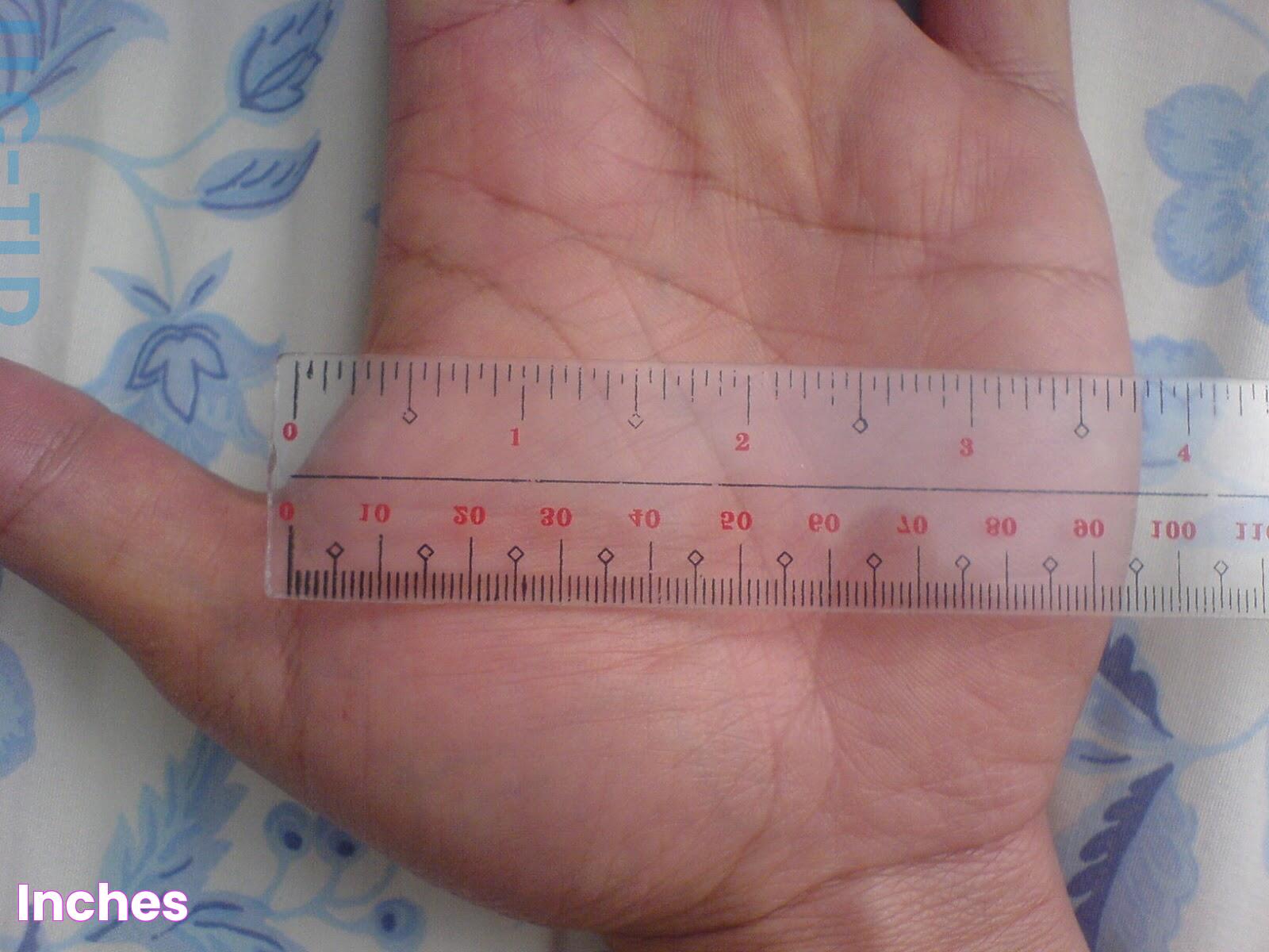 Understanding The Size: How Big Is 14 Inches?