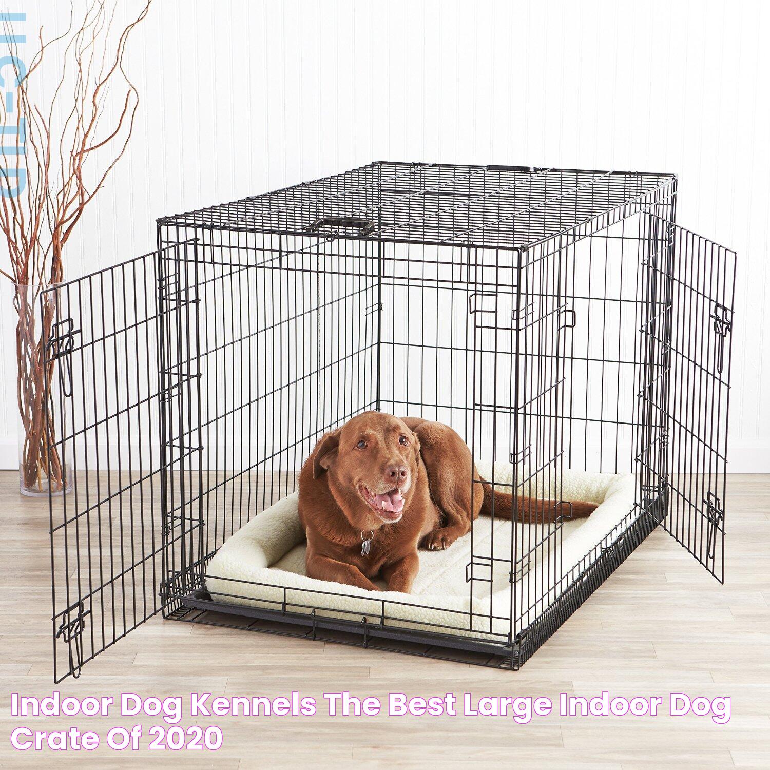 Indoor Dog Kennels The Best Large Indoor Dog Crate of 2020