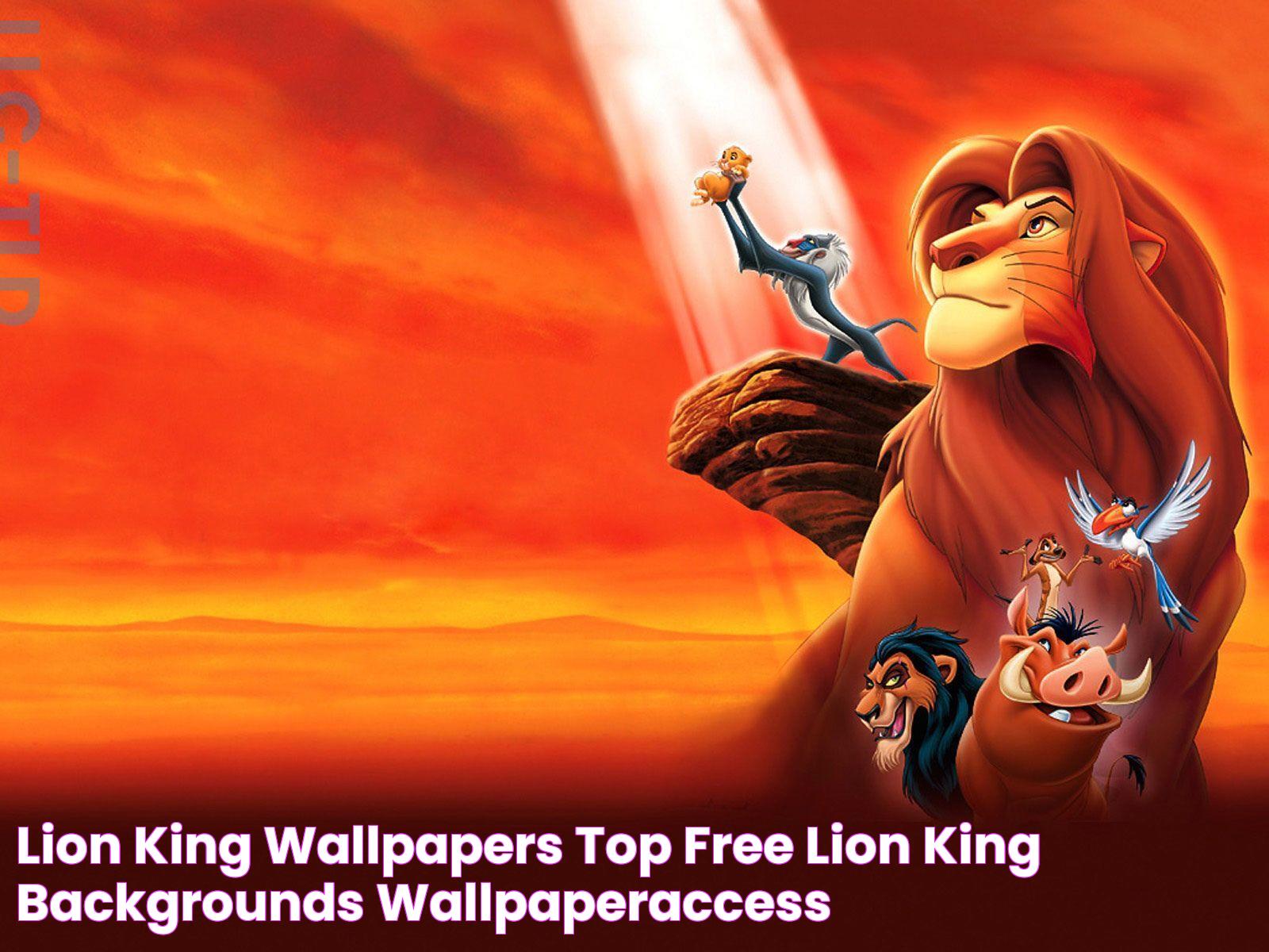 Lion King Wallpapers Top Free Lion King Backgrounds WallpaperAccess