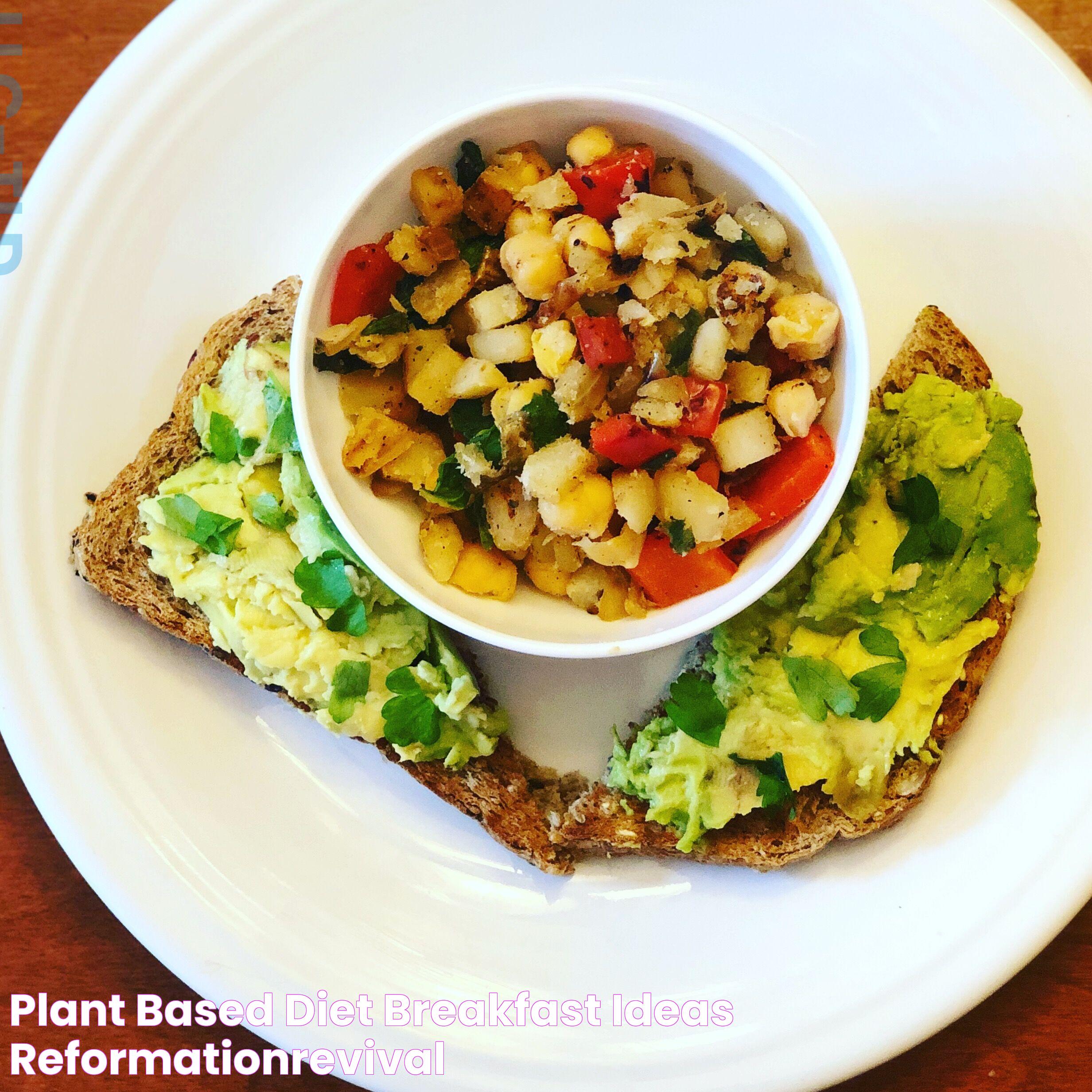 Creative Plant Based Diet Breakfast Ideas For A Healthy Start