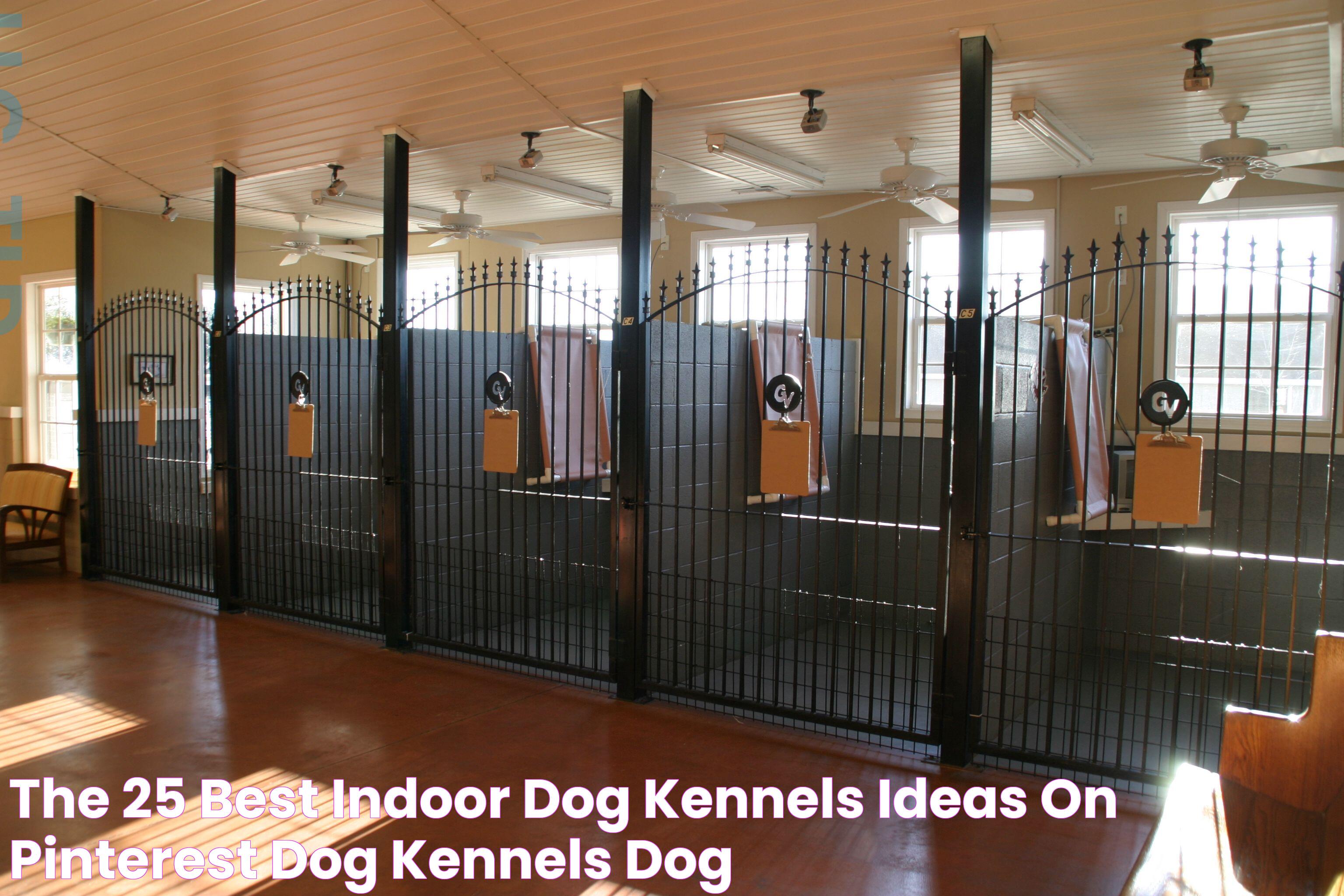 Optimal Solutions For Indoor Dog Kennels For Large Dogs