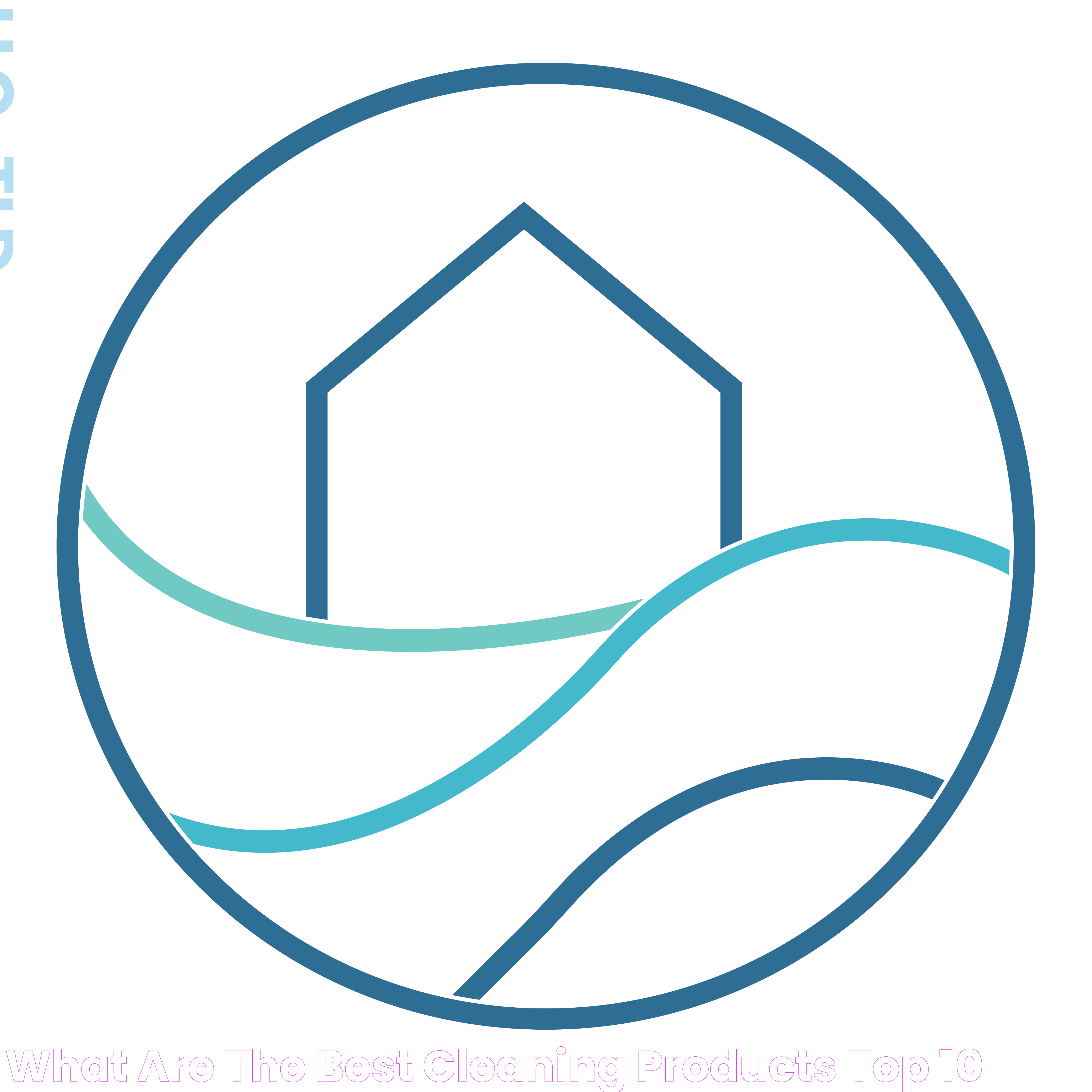 What Are The Best Cleaning Products? Top 10